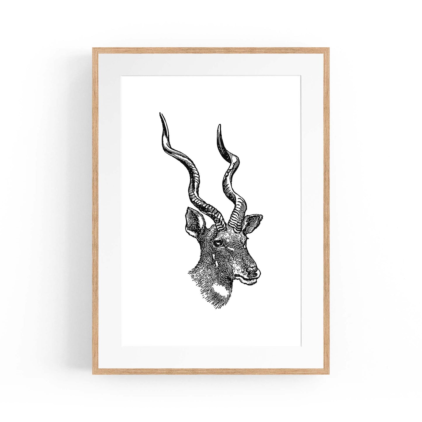 Kudu Detailed Drawing African Safari Wall Art - The Affordable Art Company