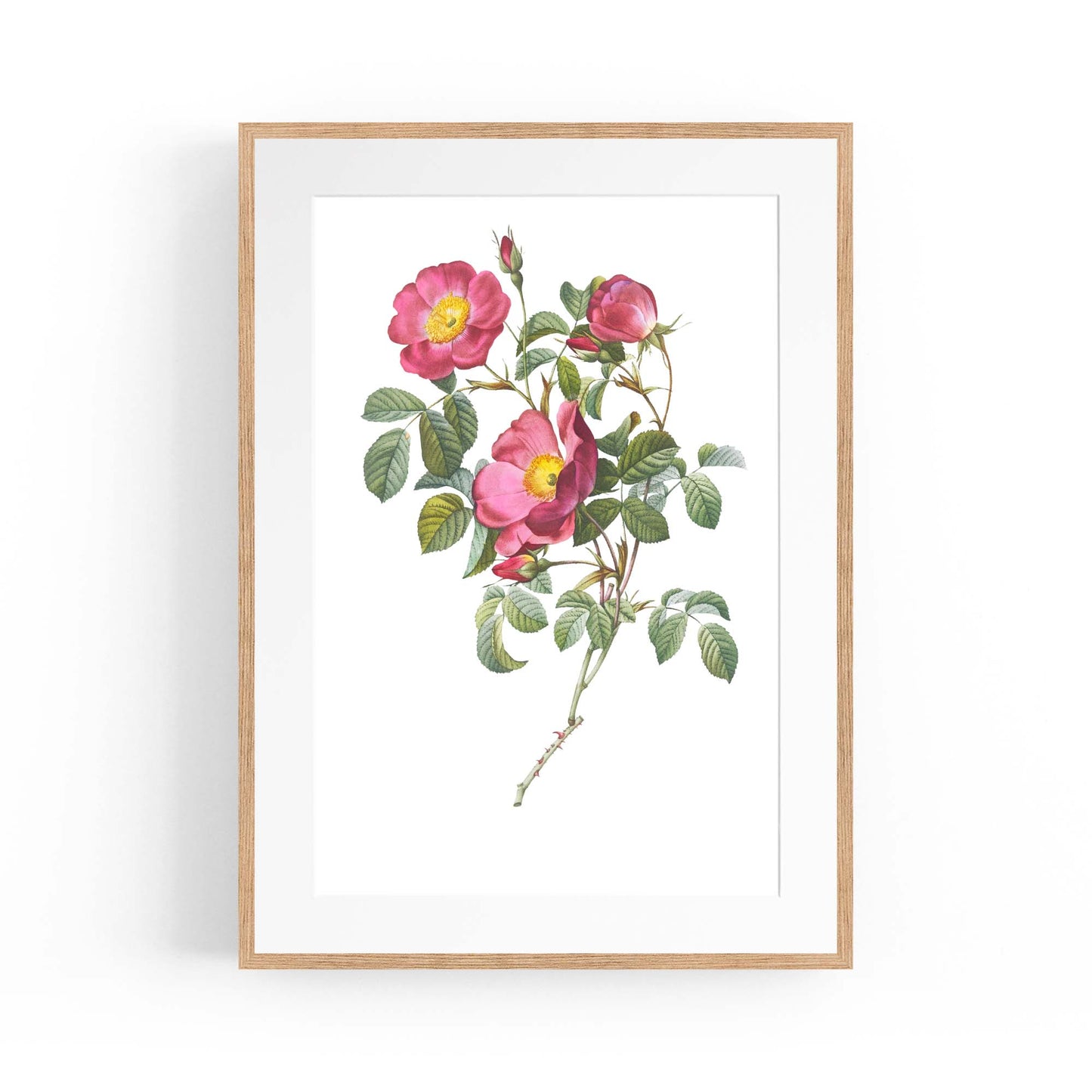 Flower Botanical Painting Kitchen Hallway Wall Art #41 - The Affordable Art Company