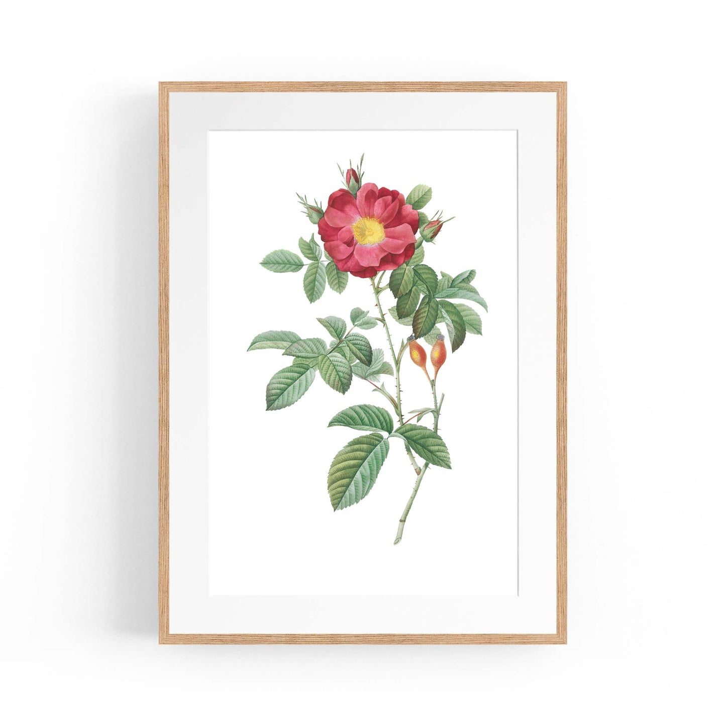 Flower Botanical Painting Kitchen Hallway Wall Art #9 - The Affordable Art Company