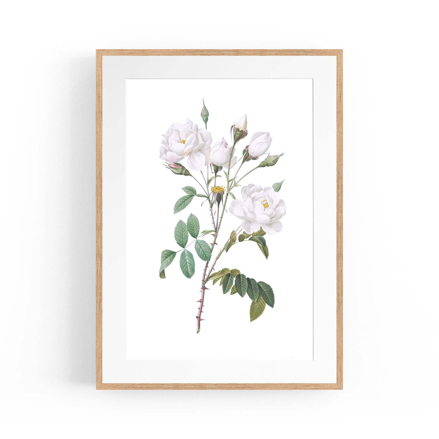 Flower Botanical Painting Kitchen Hallway Wall Art #15 - The Affordable Art Company