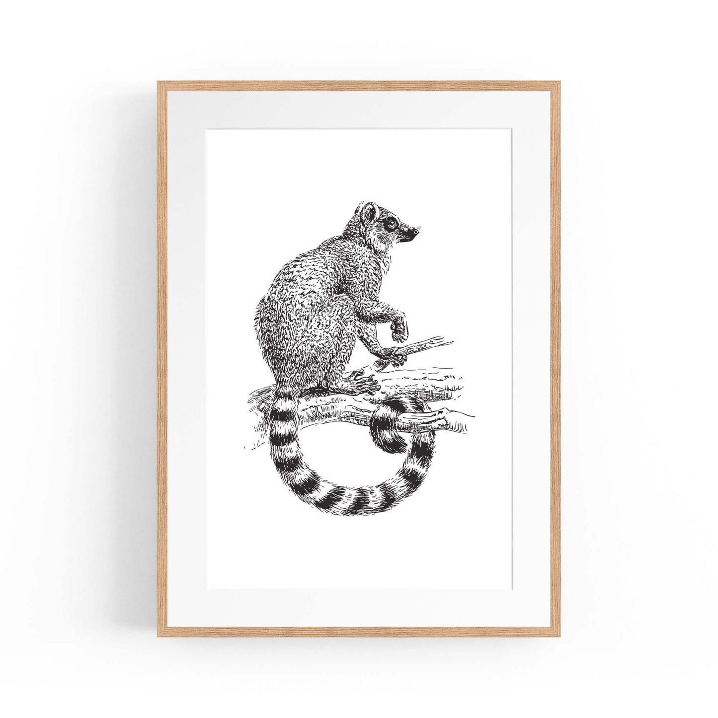 Possum Drawing Animal Wall Art - The Affordable Art Company