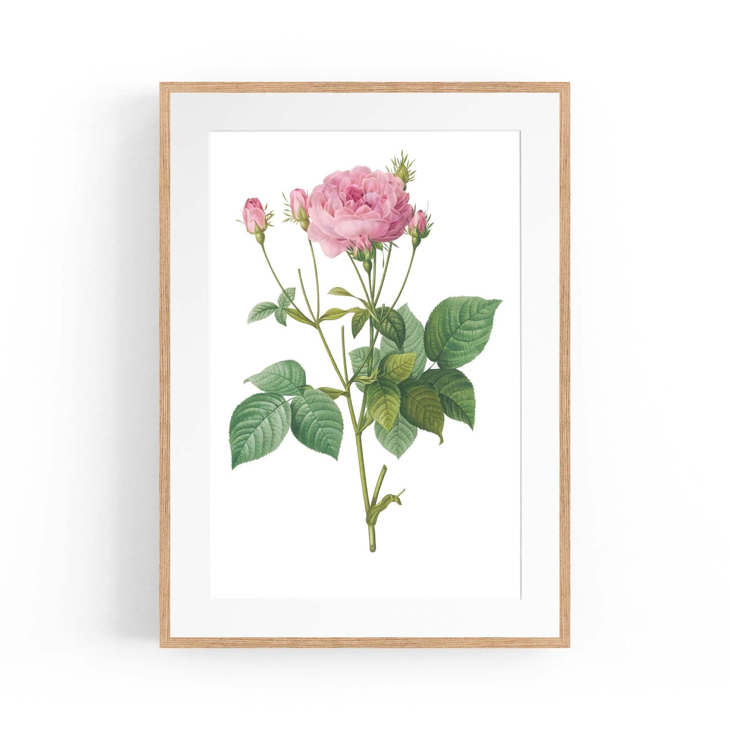 Flower Botanical Painting Kitchen Hallway Wall Art #18 - The Affordable Art Company