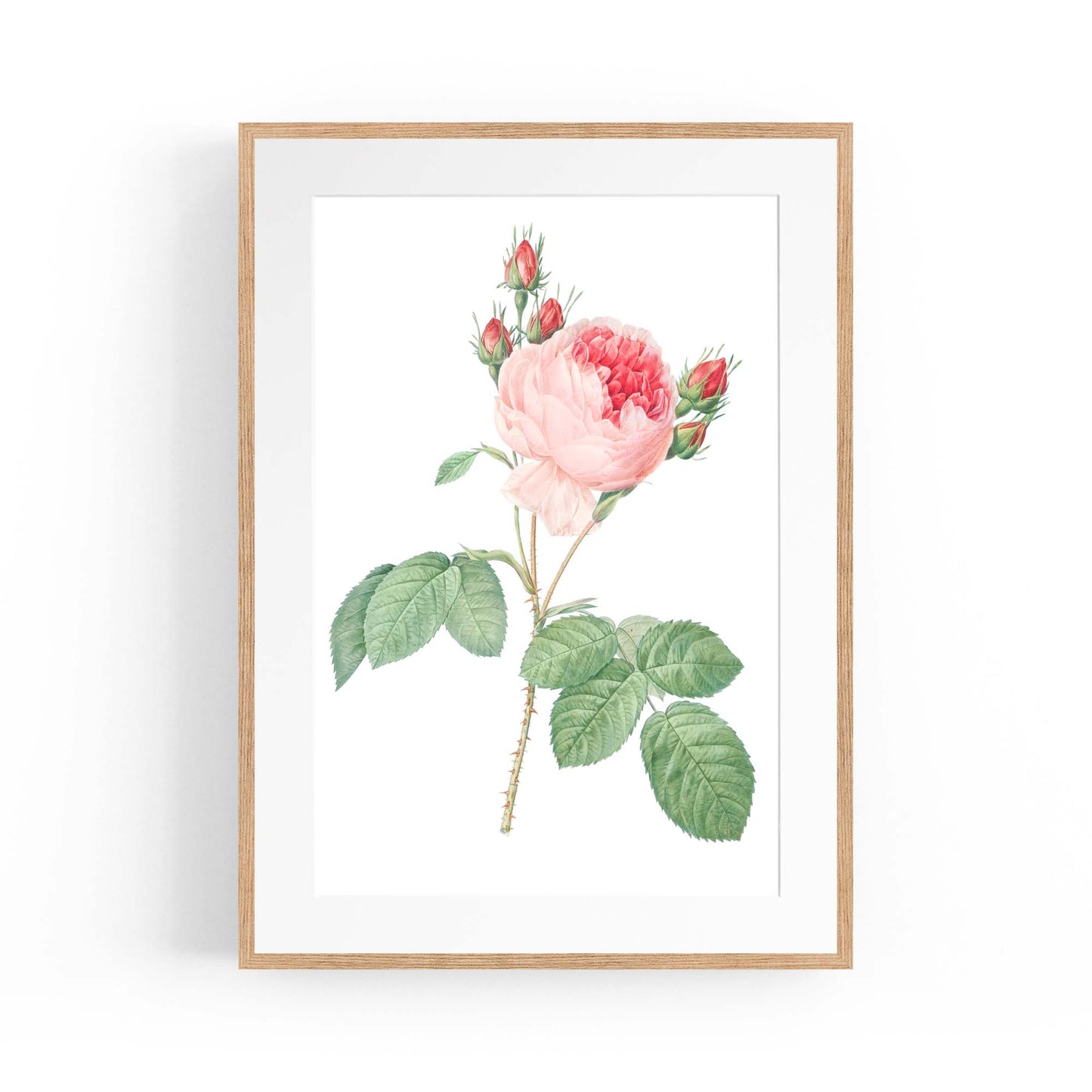 Flower Botanical Painting Kitchen Hallway Wall Art #36 - The Affordable Art Company