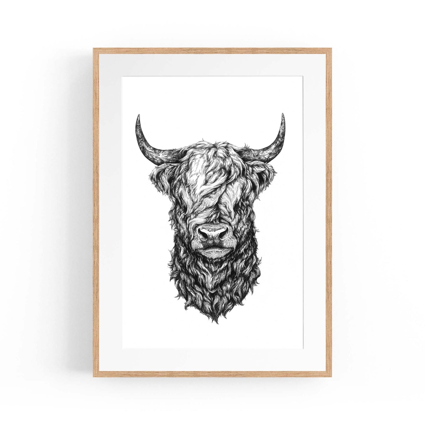 Highland Cow Detailed Head Drawing Wall Art - The Affordable Art Company