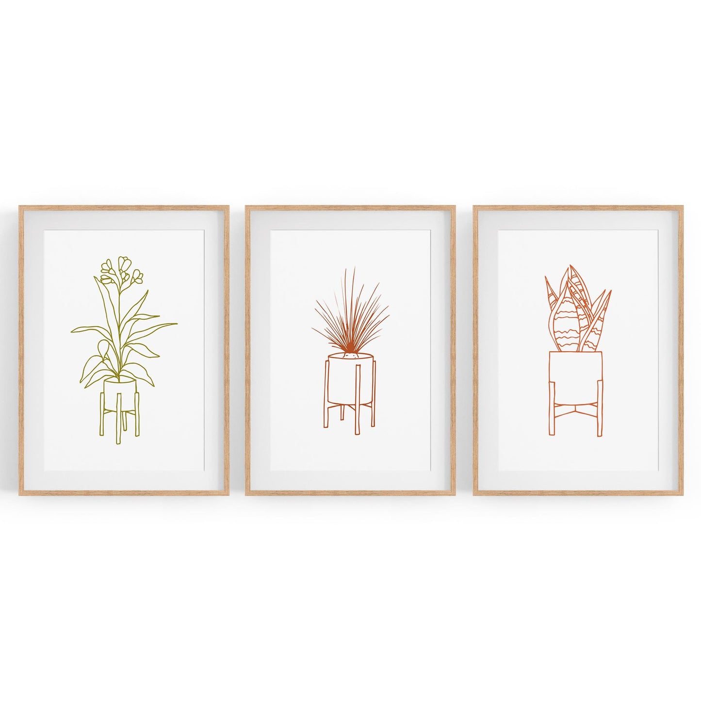 Set of Minimal House Plant Drawing Wall Art #1 - The Affordable Art Company