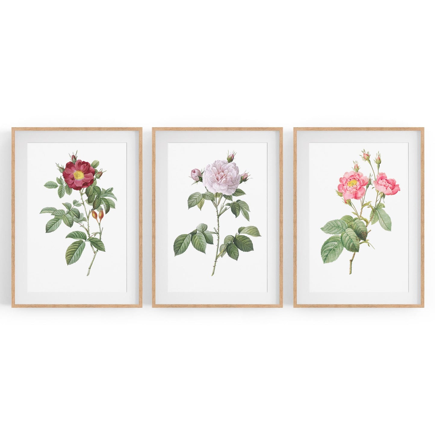 Set of Pink Floral Vintage Botanical Wall Art #3 - The Affordable Art Company