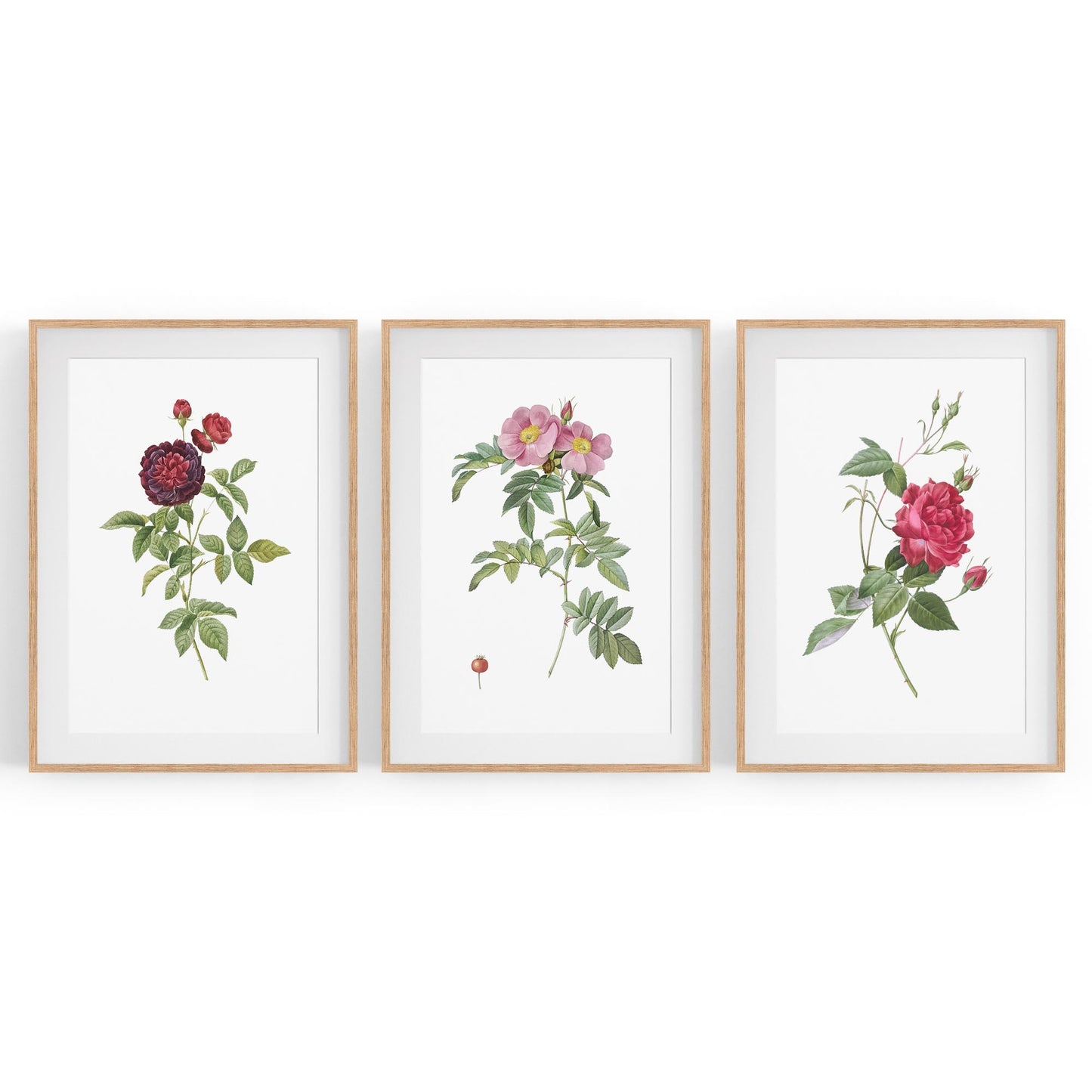 Set of Red & White Flower Botanical Wall Art - The Affordable Art Company