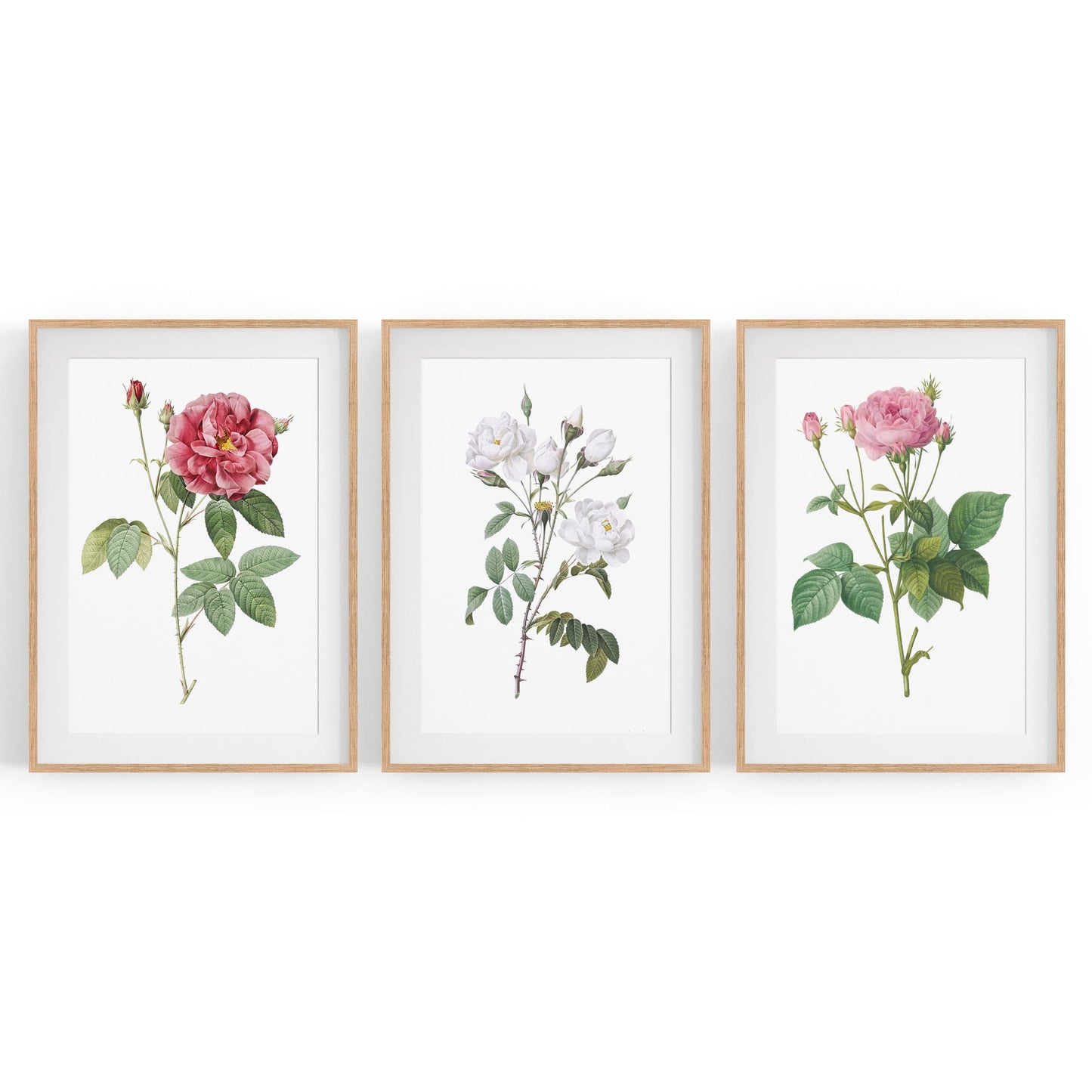 Set of Pink Floral Vintage Botanical Wall Art #4 - The Affordable Art Company