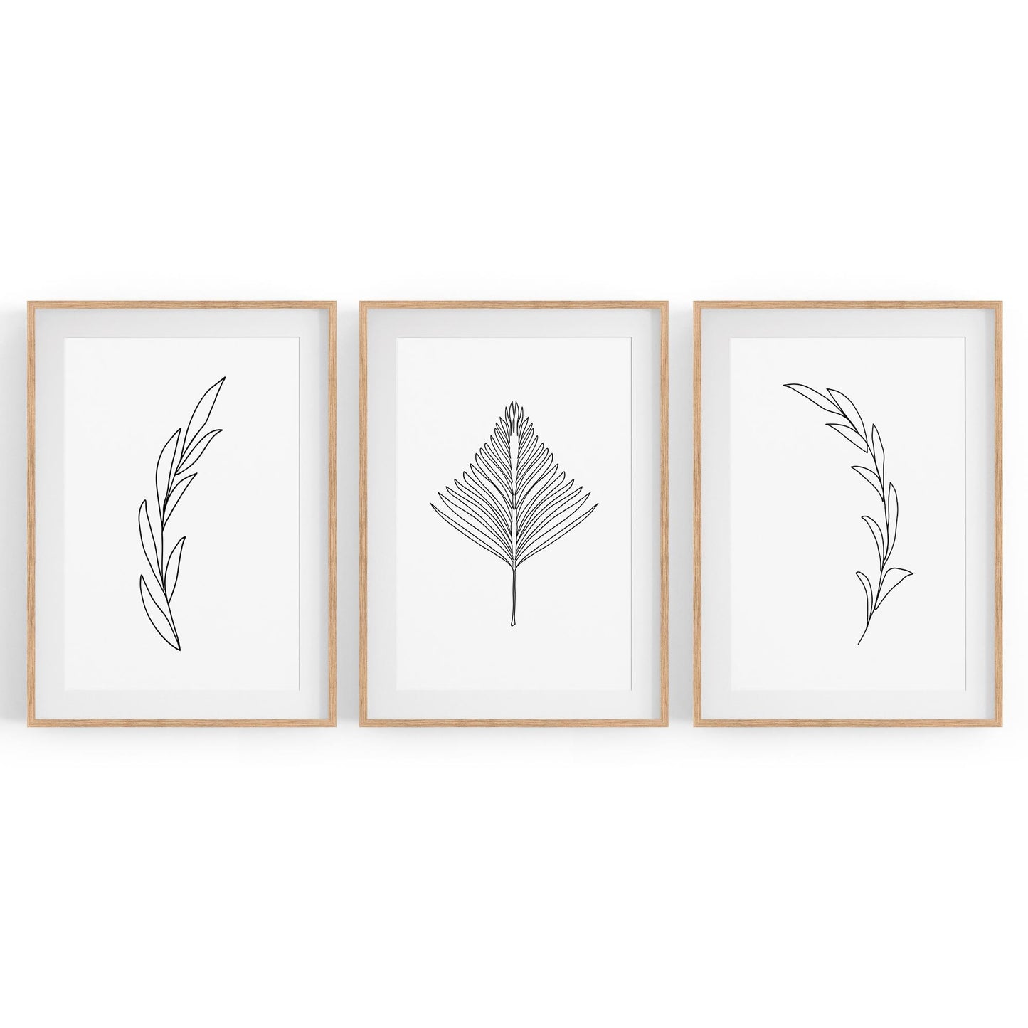 Set of Minimal Plant Line Drawings Wall Art #1 - The Affordable Art Company