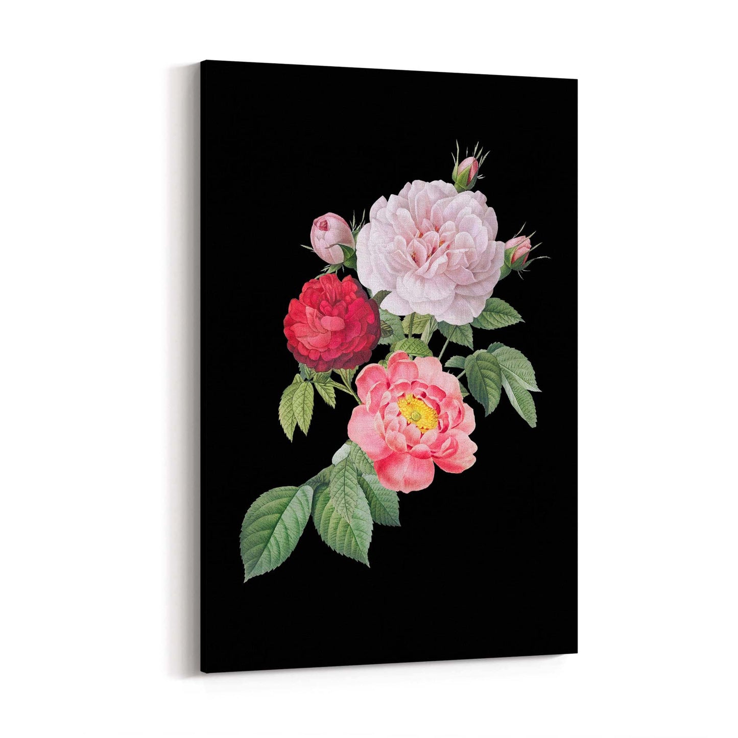 Botanical Flower Painting Floral Kitchen Wall Art #7 - The Affordable Art Company