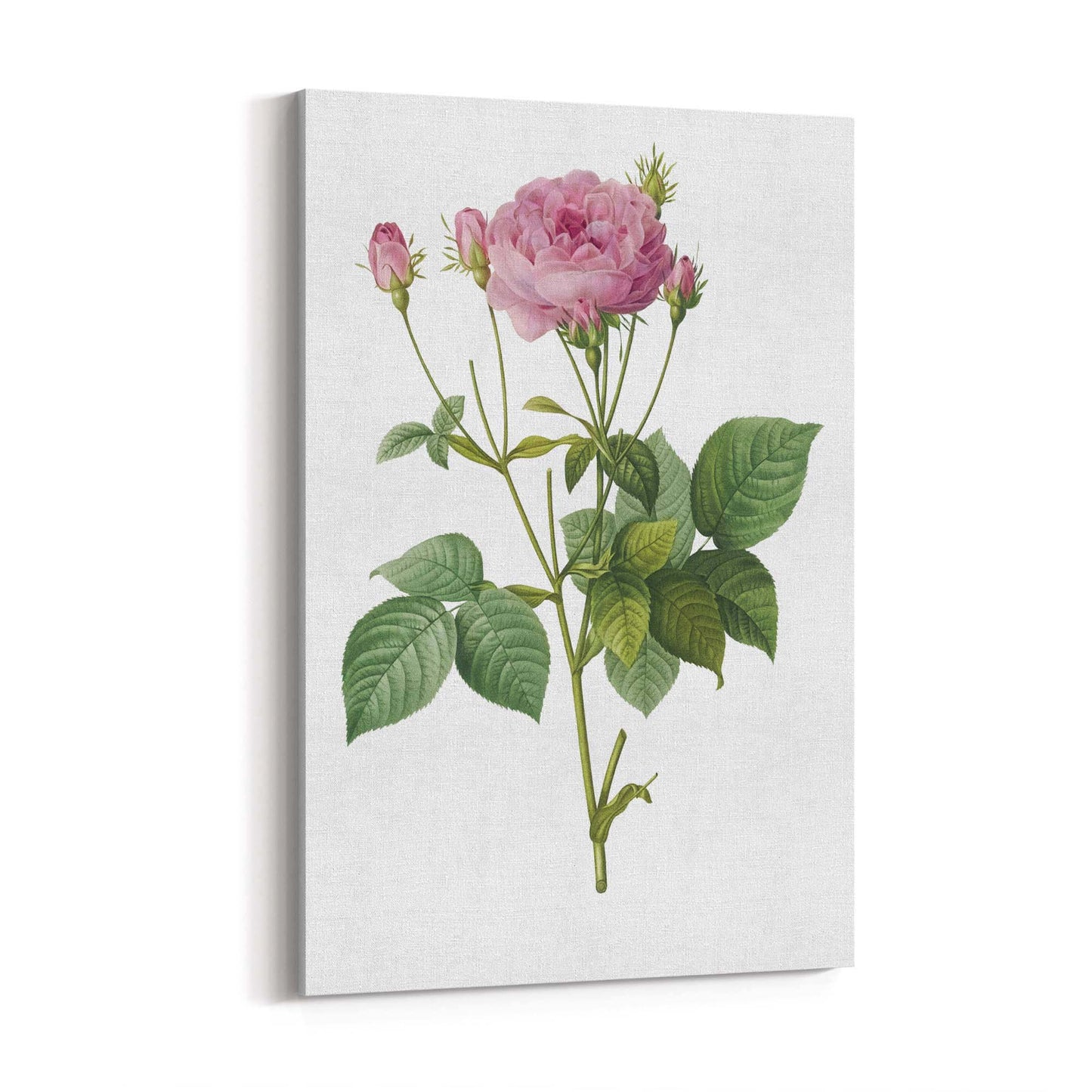 Flower Botanical Painting Kitchen Hallway Wall Art #18 - The Affordable Art Company