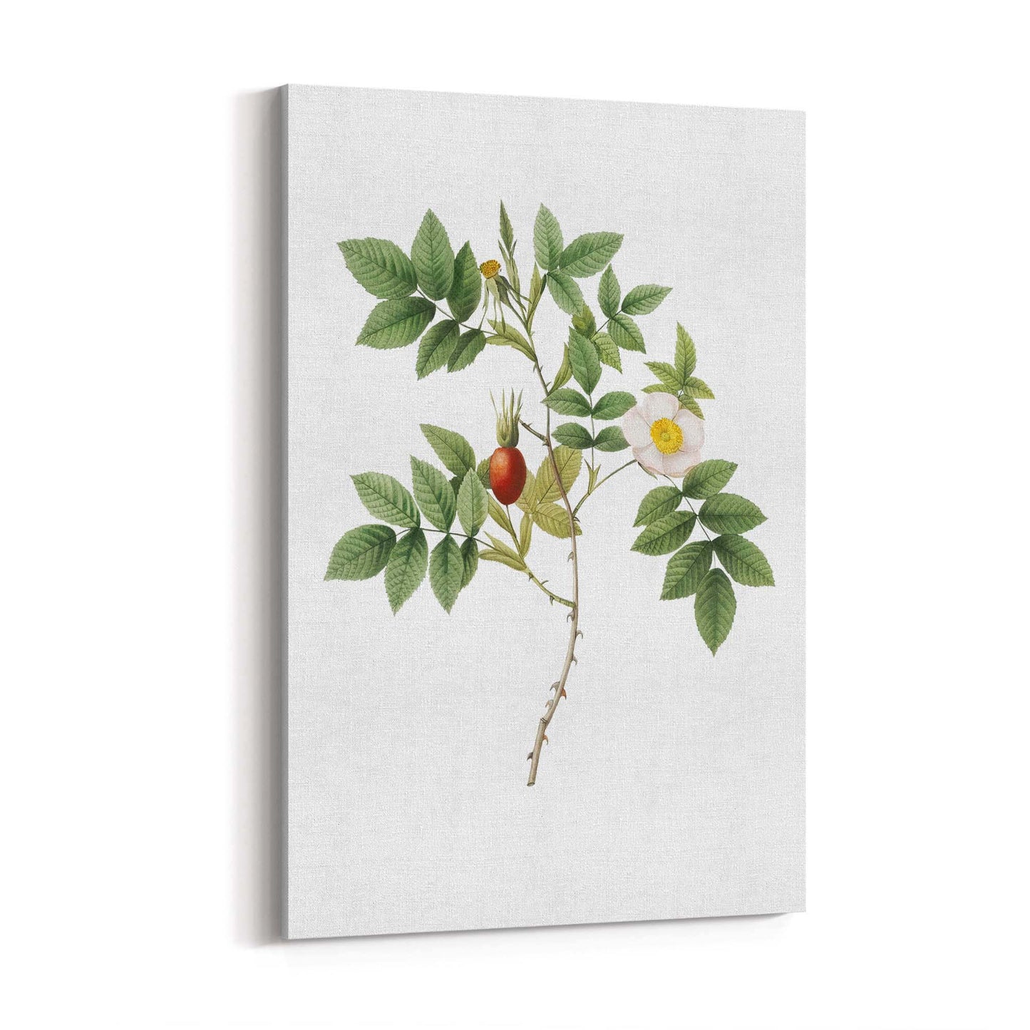 Flower Botanical Painting Kitchen Hallway Wall Art #46 - The Affordable Art Company