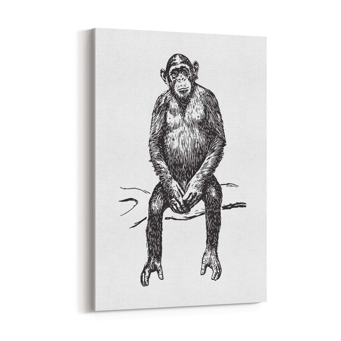 Monkey Drawing Animal Jungle Wall Art - The Affordable Art Company