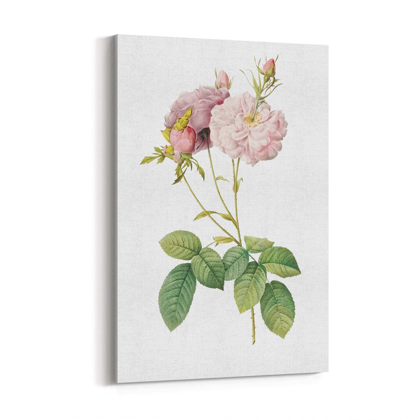 Flower Botanical Painting Kitchen Hallway Wall Art #42 - The Affordable Art Company