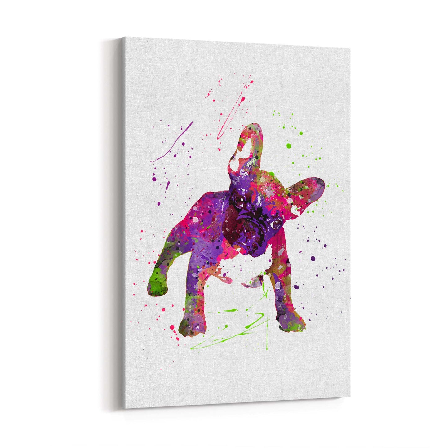 Watercolour Boston Terrier Dog Wall Art - The Affordable Art Company