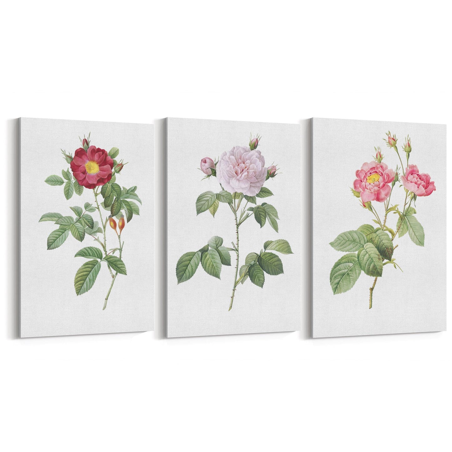 Set of Pink Floral Vintage Botanical Wall Art #3 - The Affordable Art Company