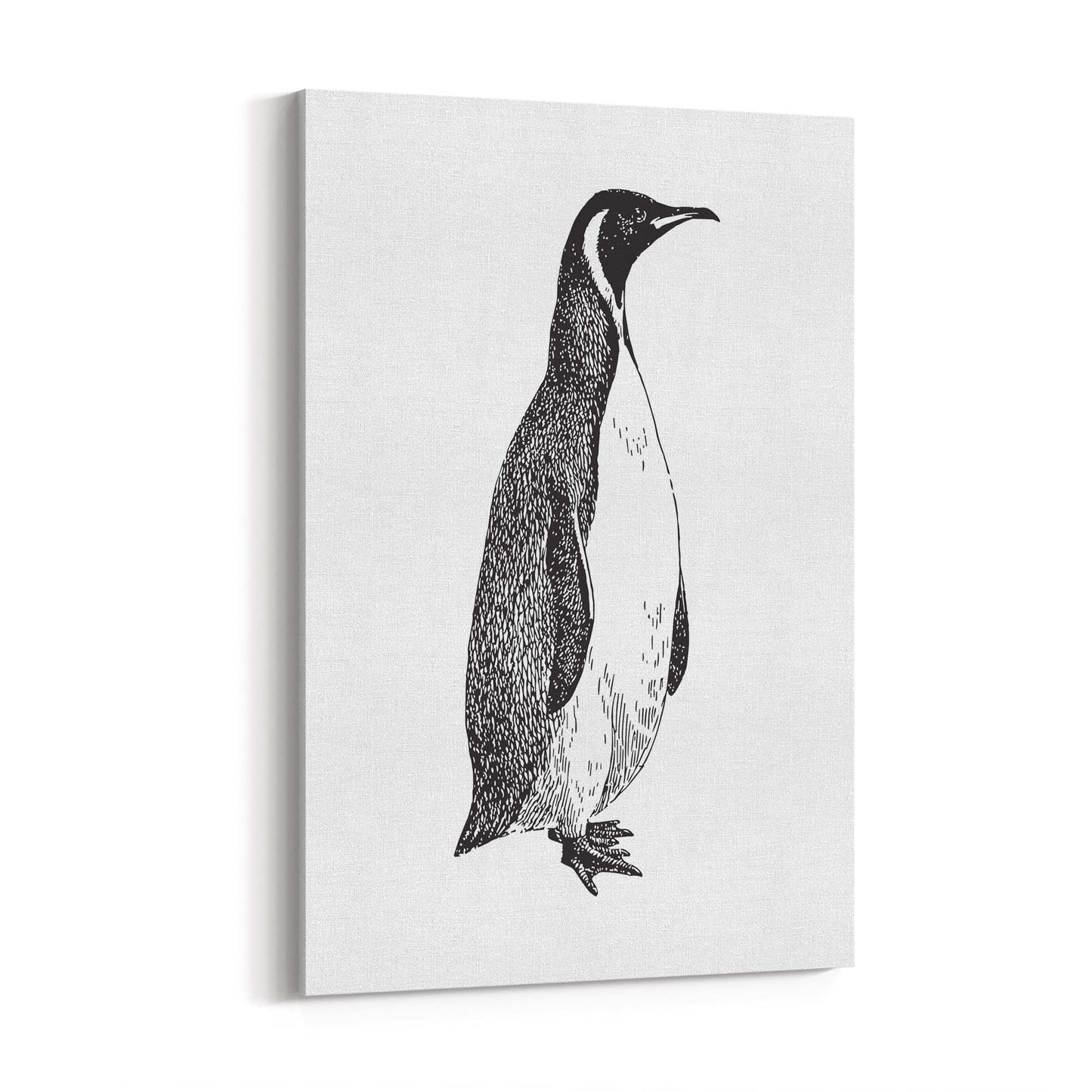 Penguin Drawing Animal Office Library Wall Art #1 - The Affordable Art Company