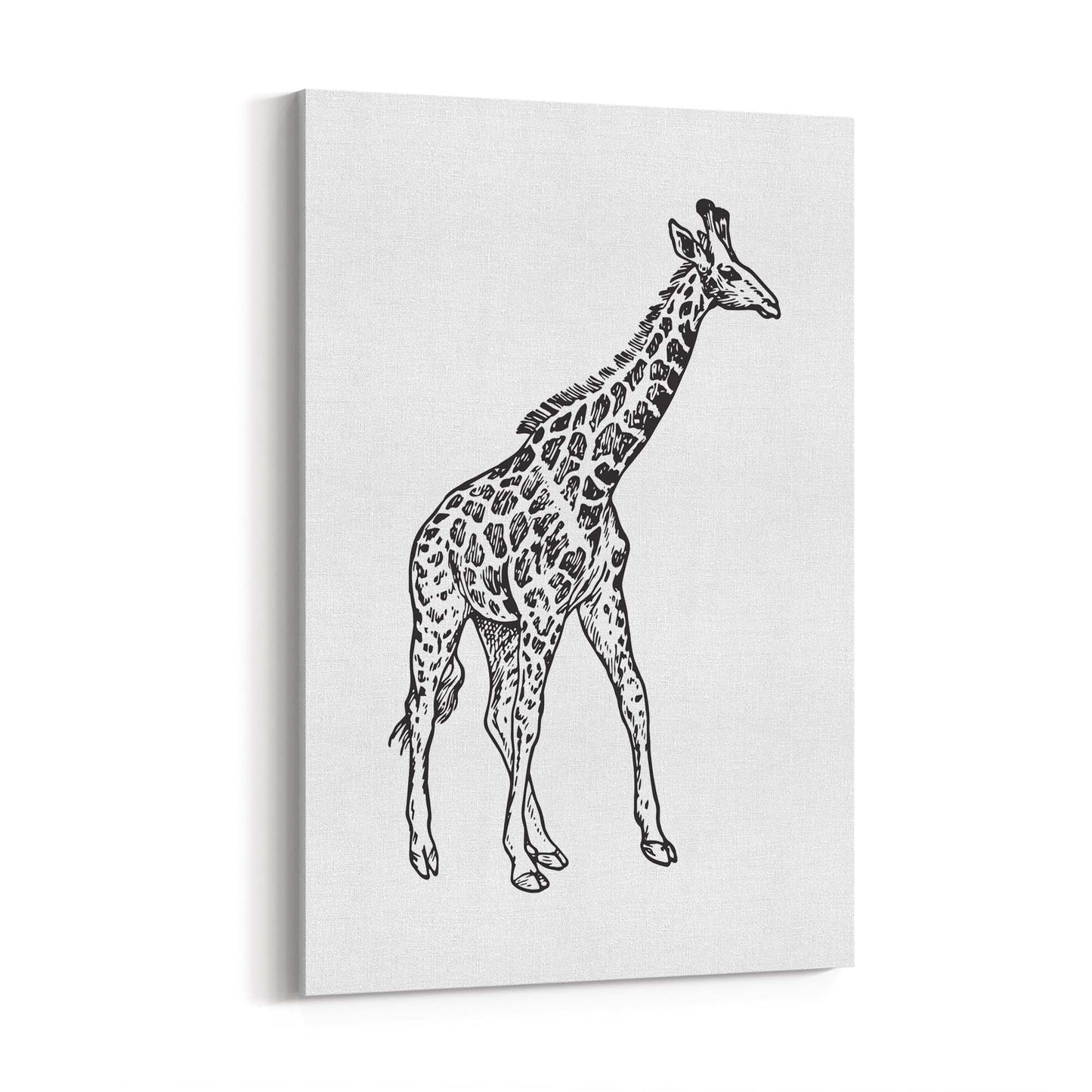 Detailed Giraffe Drawing Safari Animal Wall Art - The Affordable Art Company