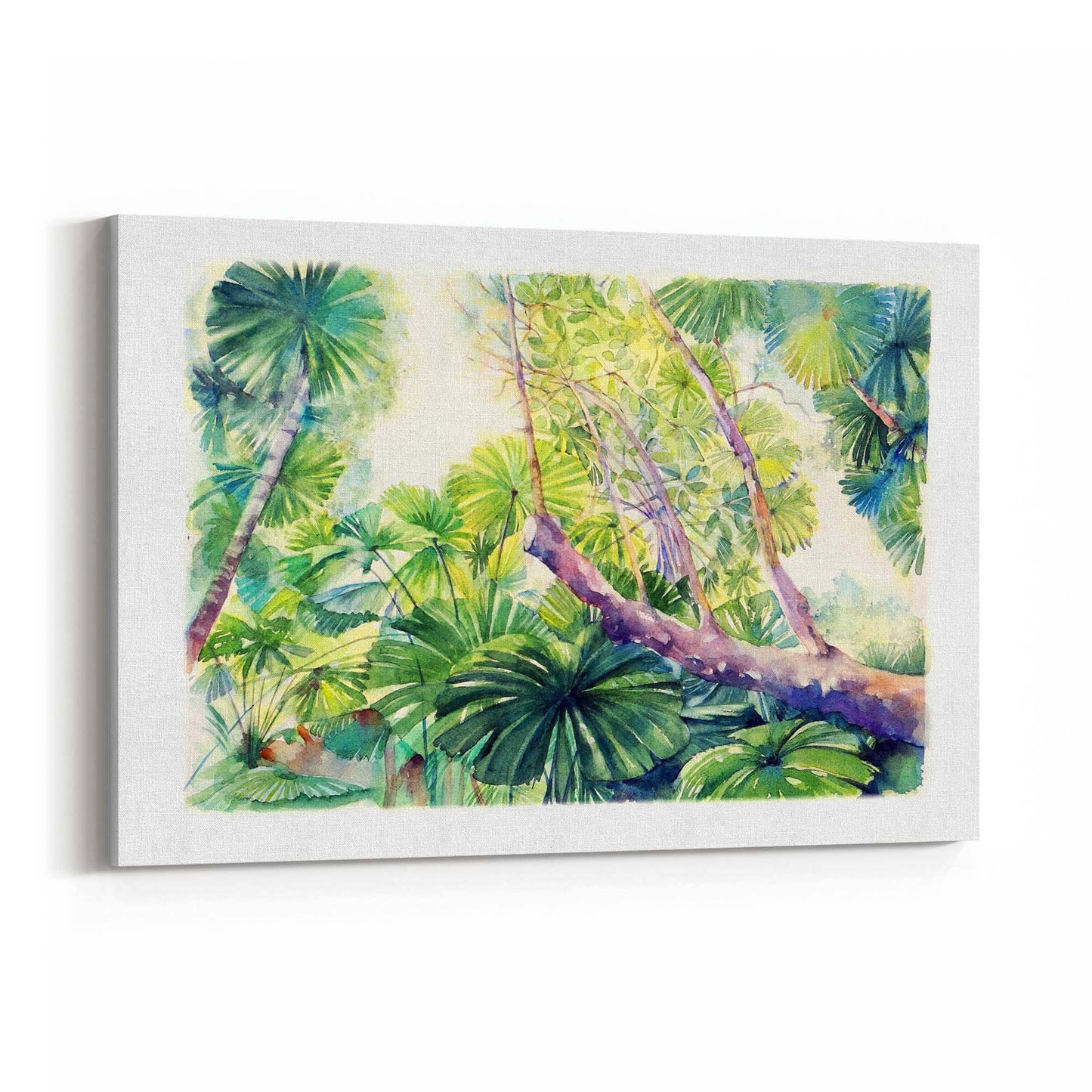 Daintree Rainforest Queensland Painting Wall Art - The Affordable Art Company