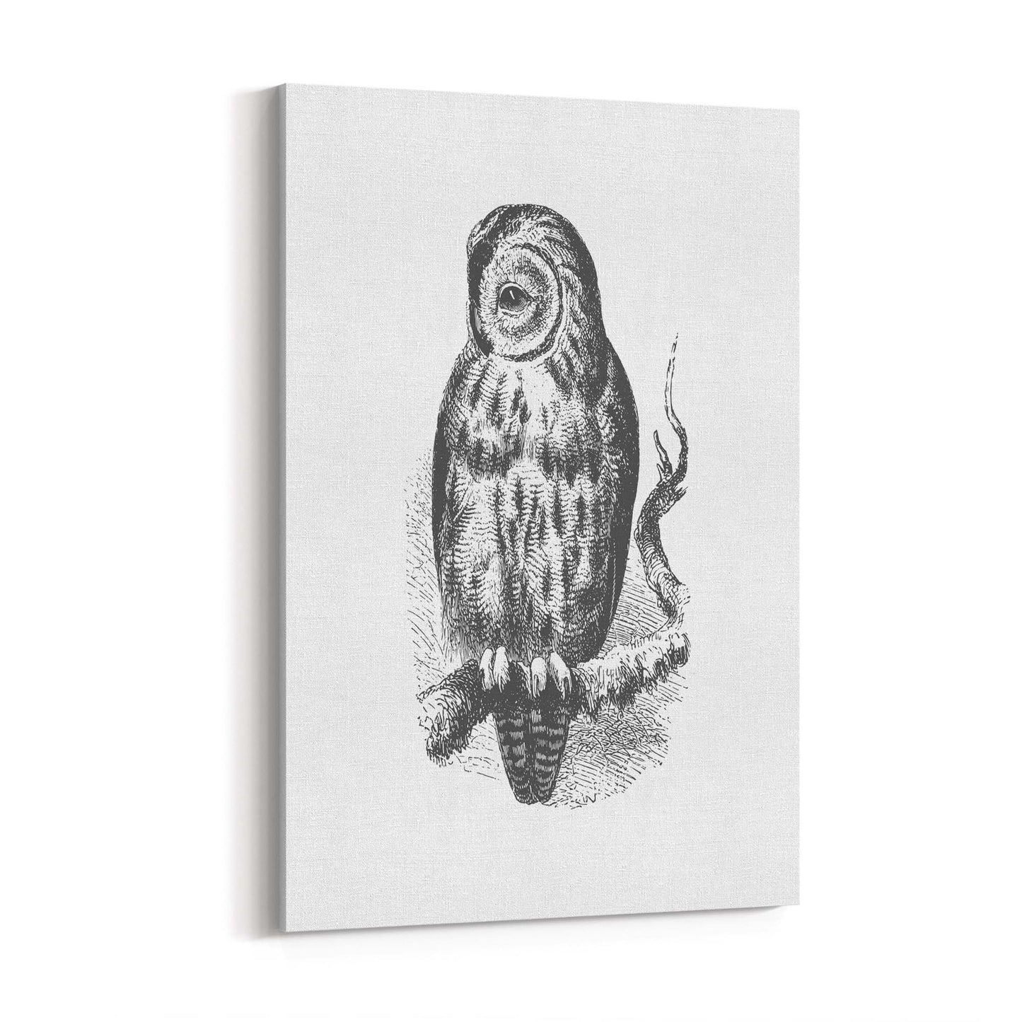 Owl Drawing Portrait Minimal Black Wall Art #3 - The Affordable Art Company