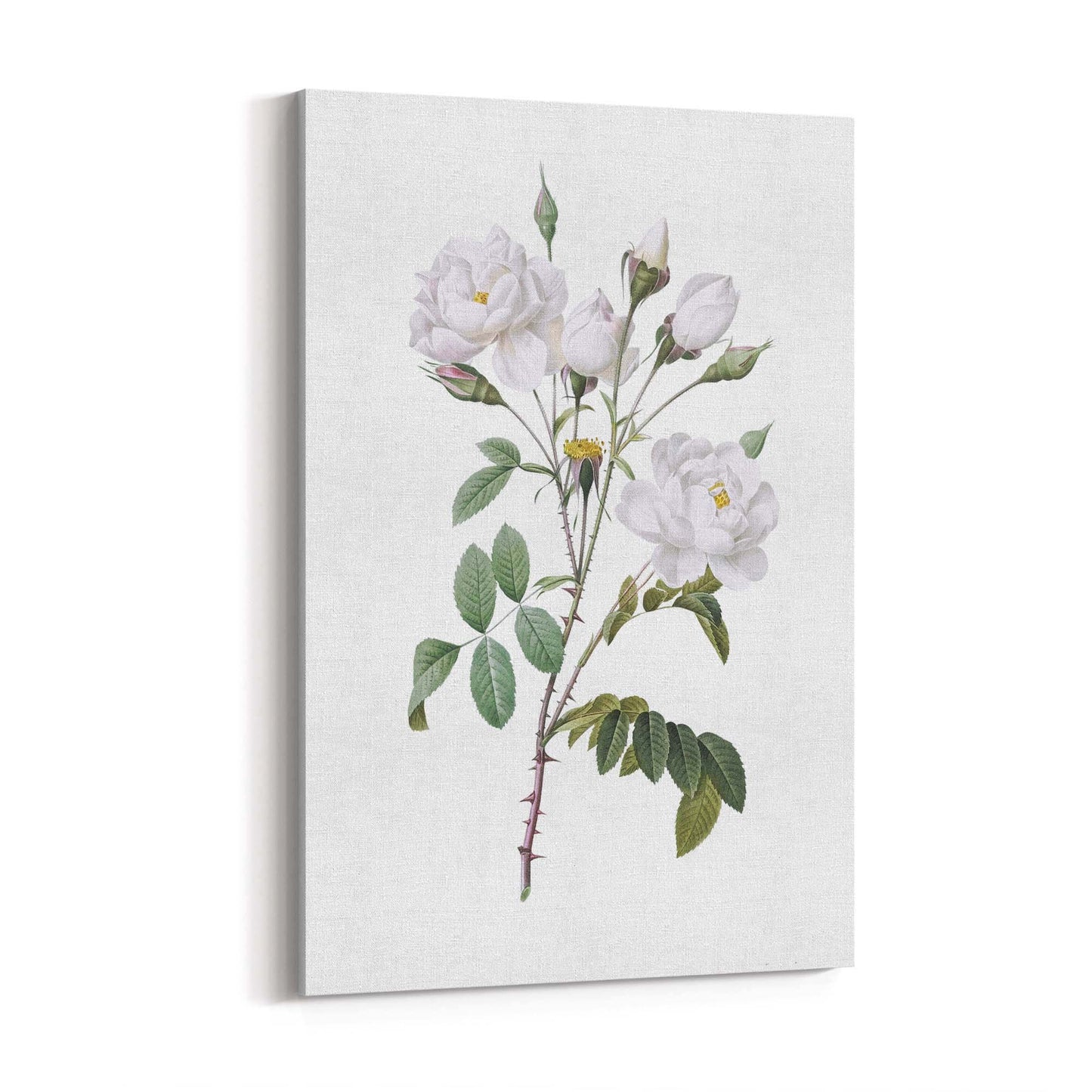 Flower Botanical Painting Kitchen Hallway Wall Art #15 - The Affordable Art Company