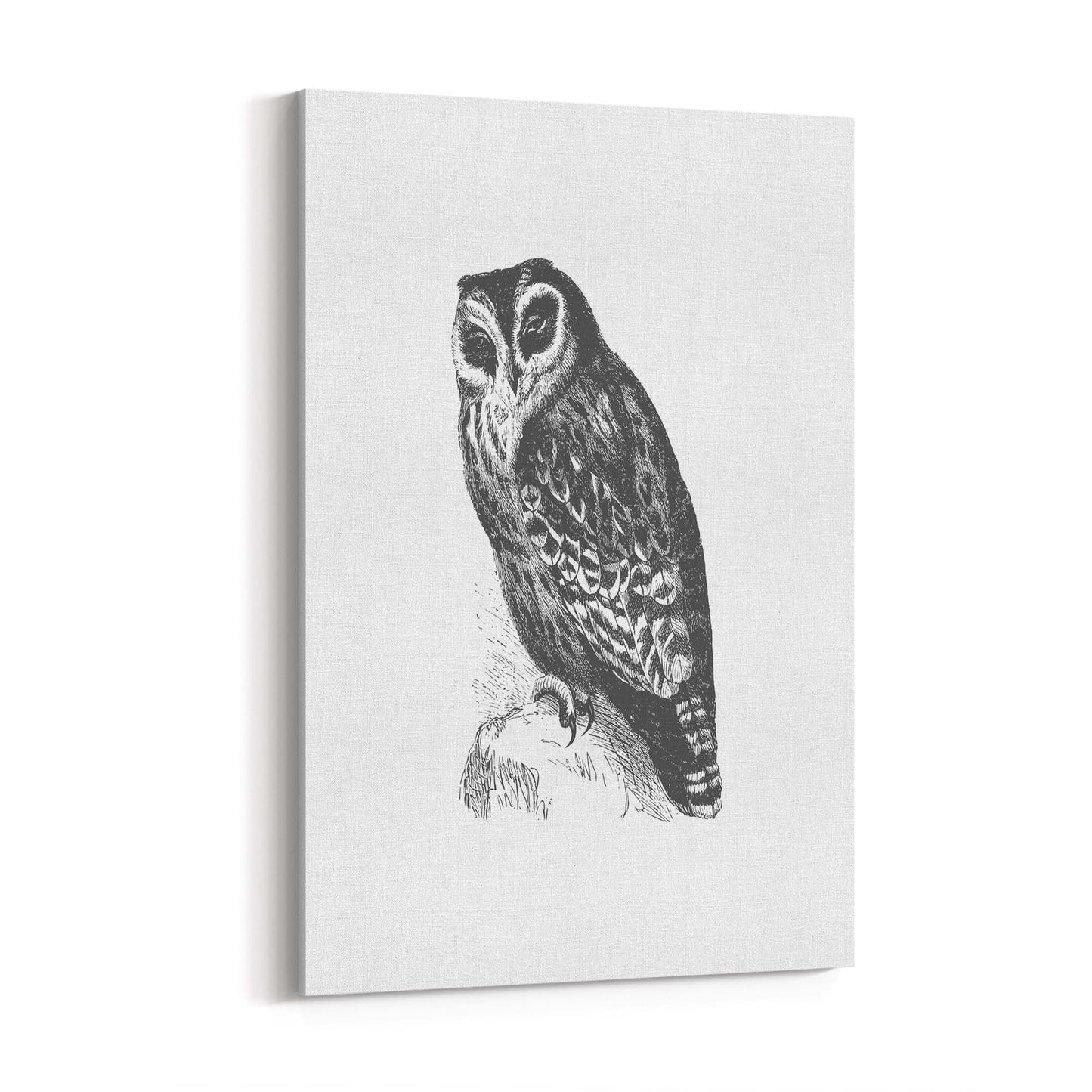 Owl Drawing Portrait Minimal Black Wall Art #4 - The Affordable Art Company