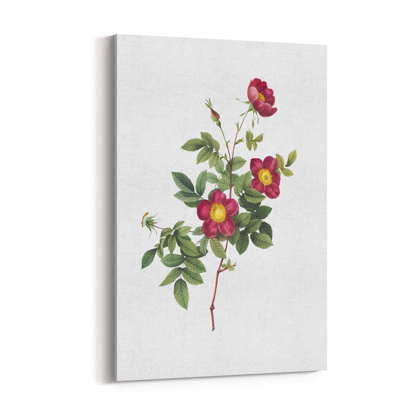 Flower Botanical Painting Kitchen Hallway Wall Art #7 - The Affordable Art Company