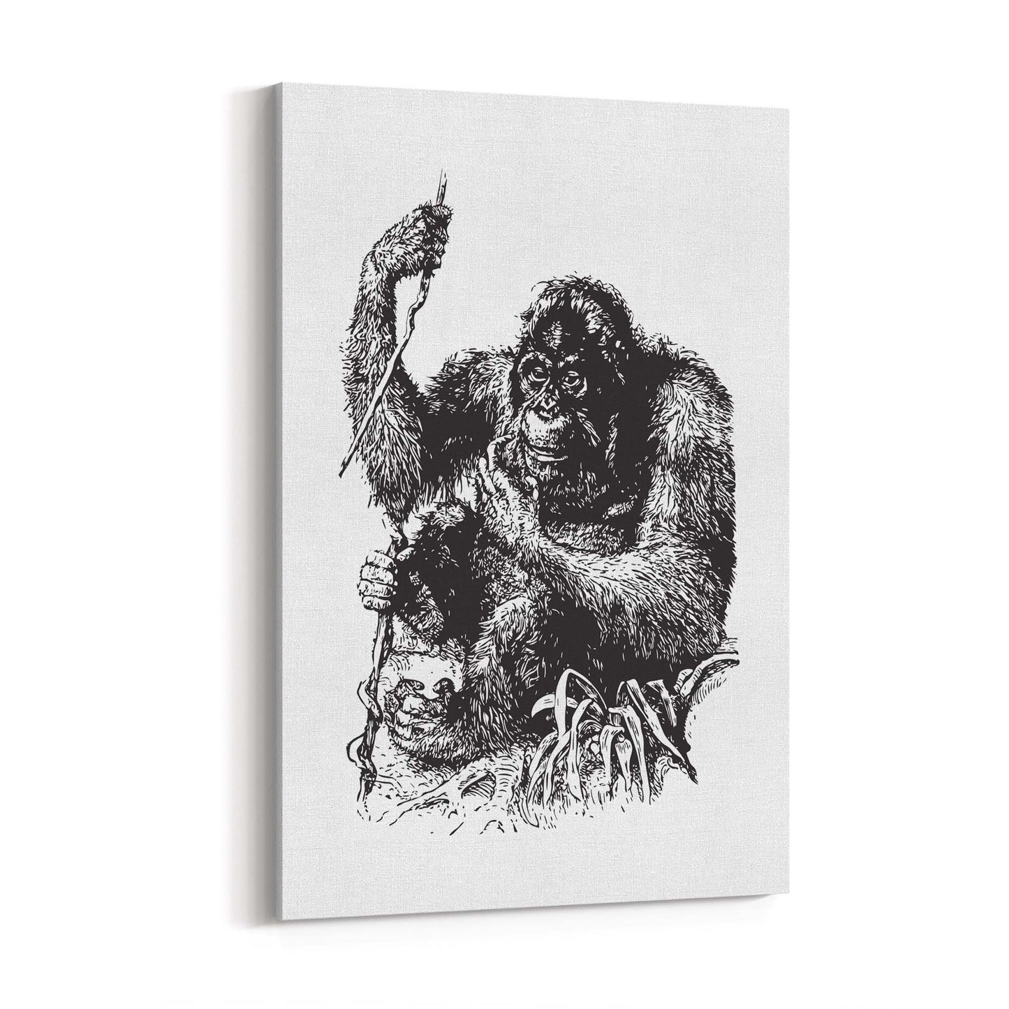 Orangutan Drawing Jungle Animal Wall Art - The Affordable Art Company