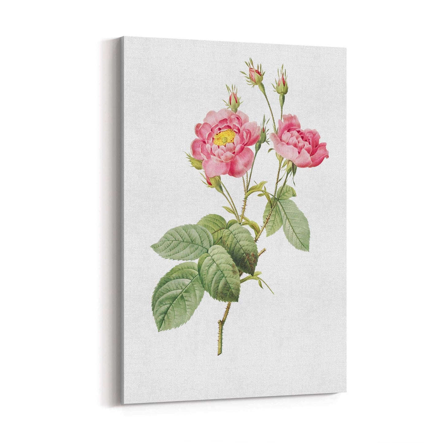 Flower Botanical Painting Kitchen Hallway Wall Art #12 - The Affordable Art Company