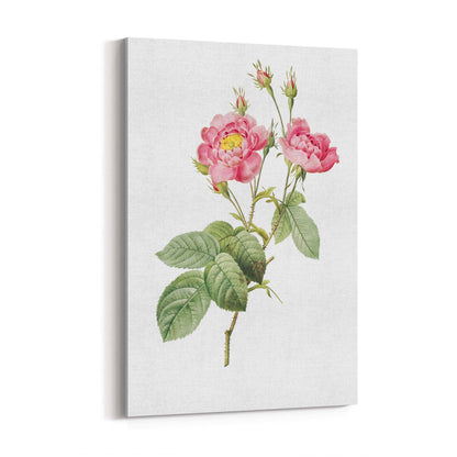 Flower Botanical Painting Kitchen Hallway Wall Art #12 - The Affordable Art Company