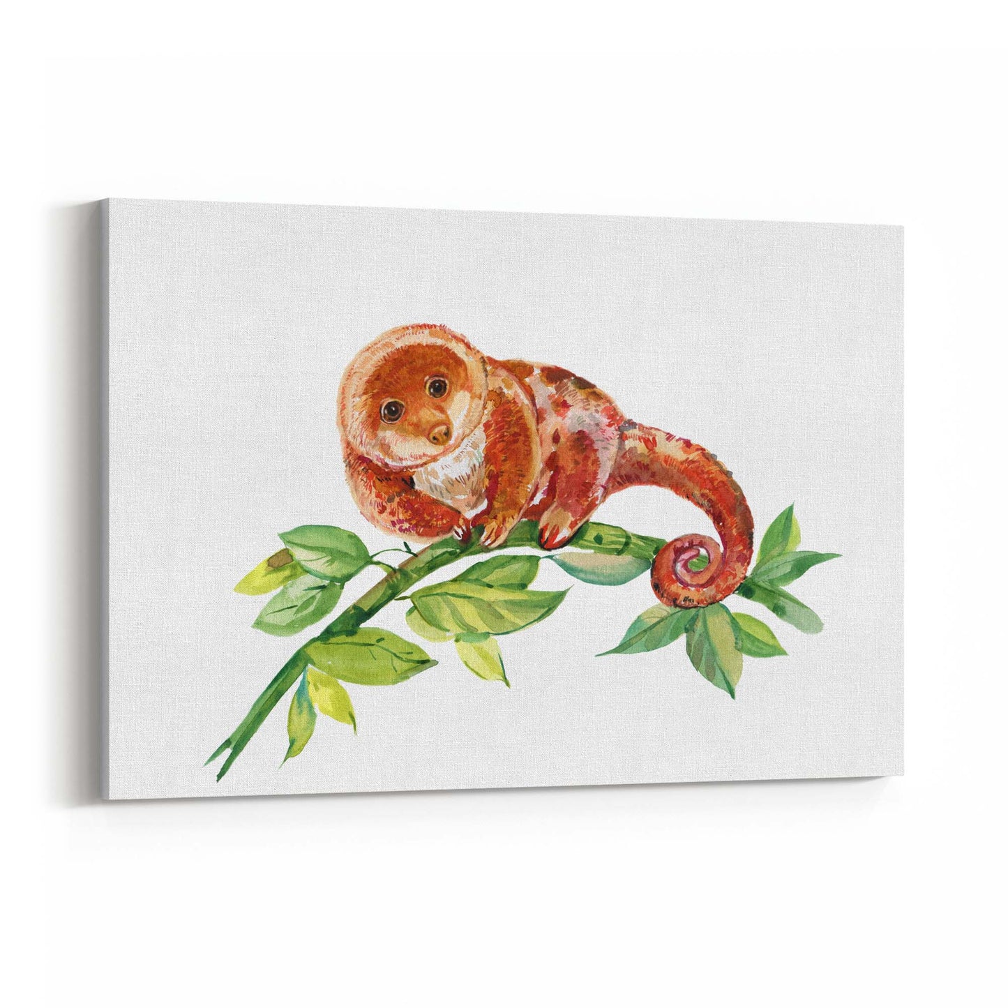 Australian Tree Kangaroo Painting Animal Wall Art - The Affordable Art Company