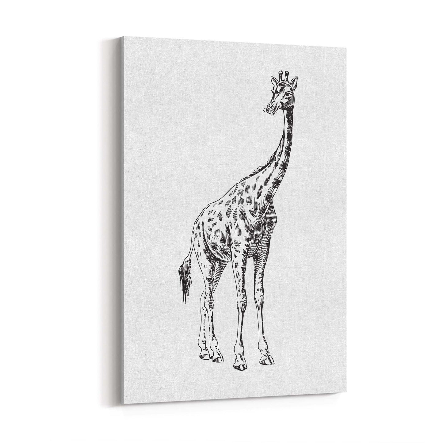 Detailed Giraffe Drawing Safari Animal Wall Art #2 - The Affordable Art Company