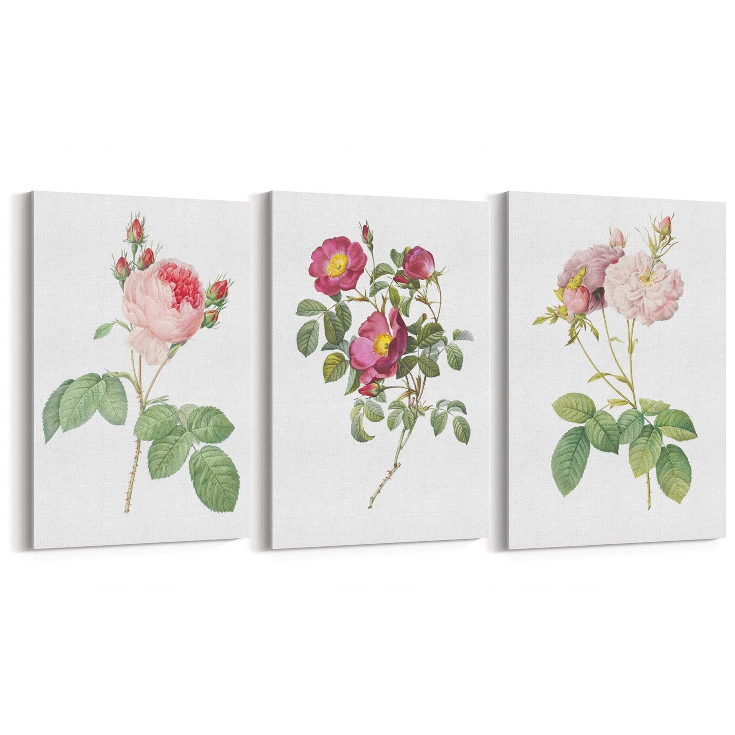 Set of Pink & White Flower Botanical Wall Art - The Affordable Art Company