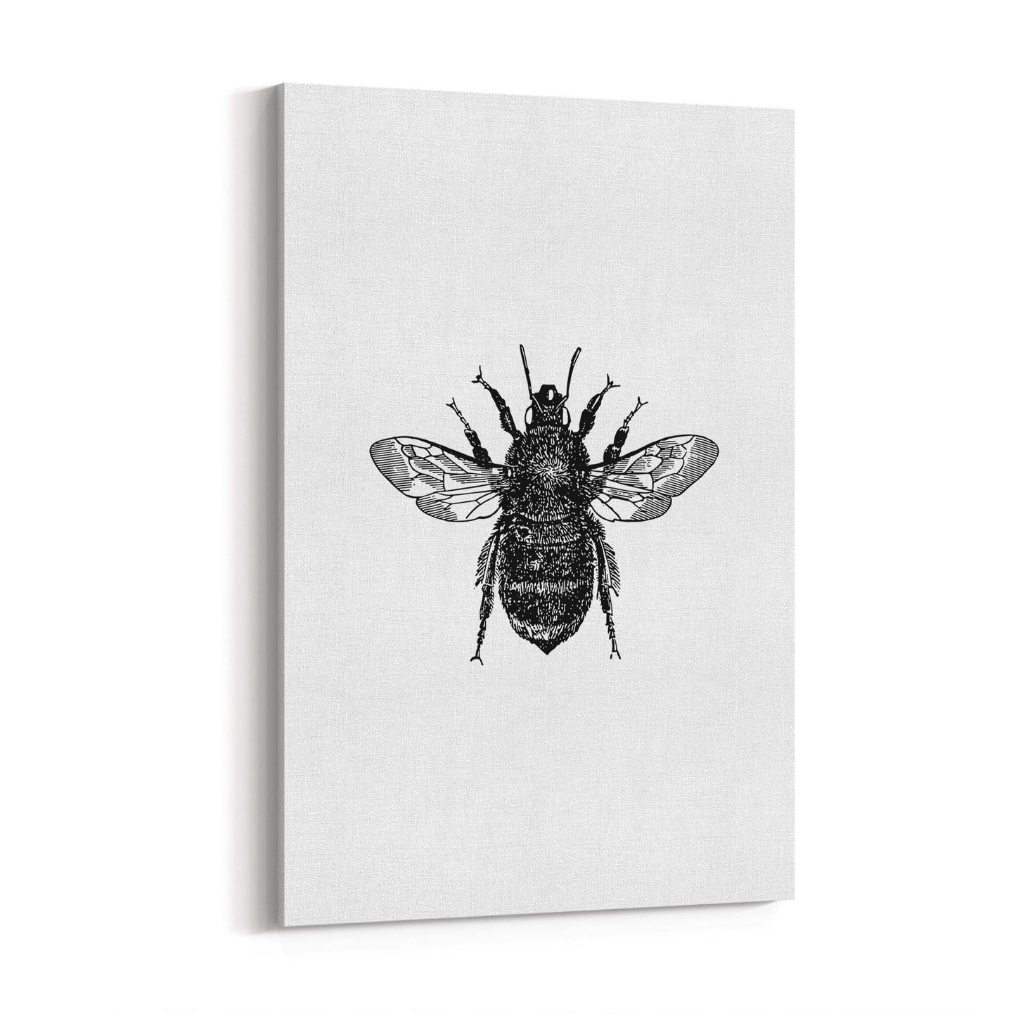 Bumblebee Drawing Insect Minimal Wall Art - The Affordable Art Company