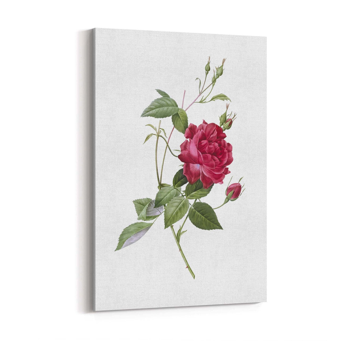 Flower Botanical Painting Kitchen Hallway Wall Art #31 - The Affordable Art Company