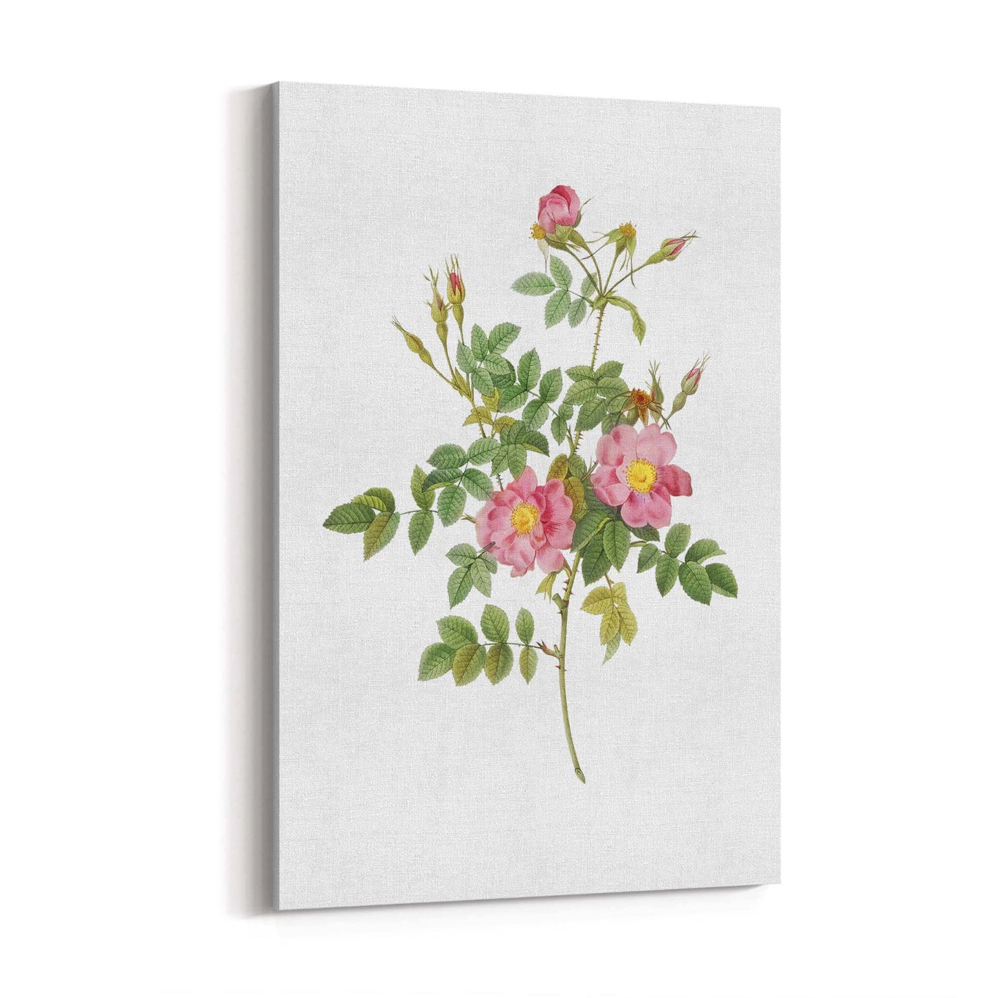 Flower Botanical Painting Kitchen Hallway Wall Art #47 - The Affordable Art Company