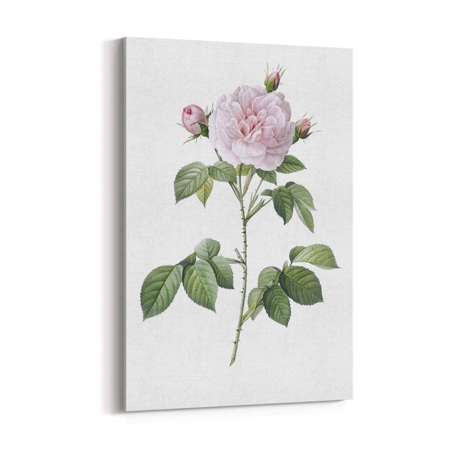 Flower Botanical Painting Kitchen Hallway Wall Art #11 - The Affordable Art Company