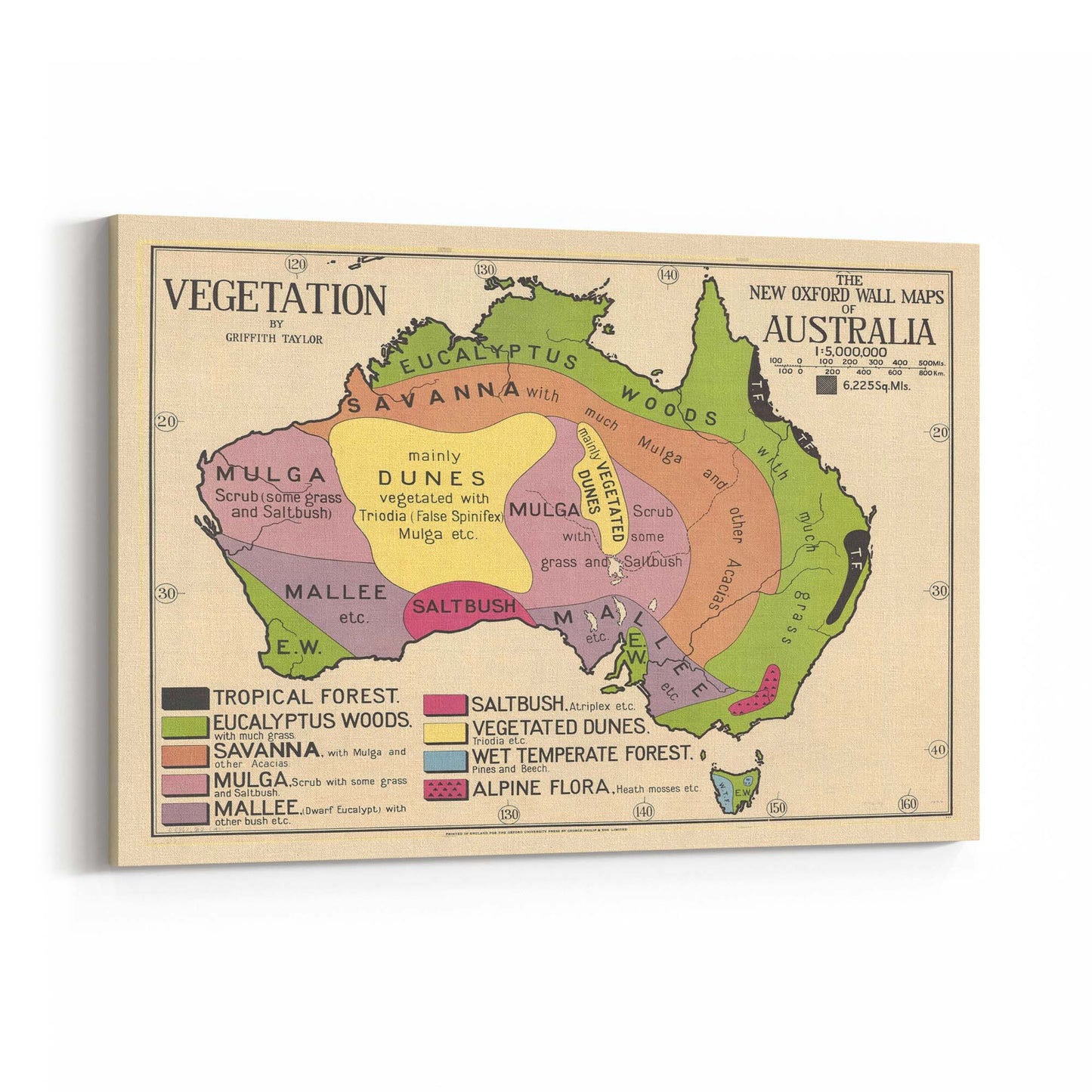 Australian Vegetation Vintage Map Wall Art - The Affordable Art Company