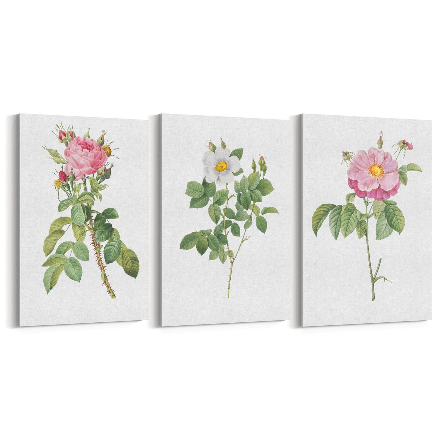 Set of Pink Floral Vintage Botanical Wall Art #2 - The Affordable Art Company