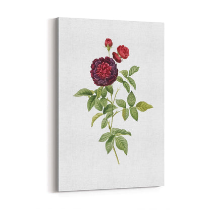Flower Botanical Painting Kitchen Hallway Wall Art #30 - The Affordable Art Company