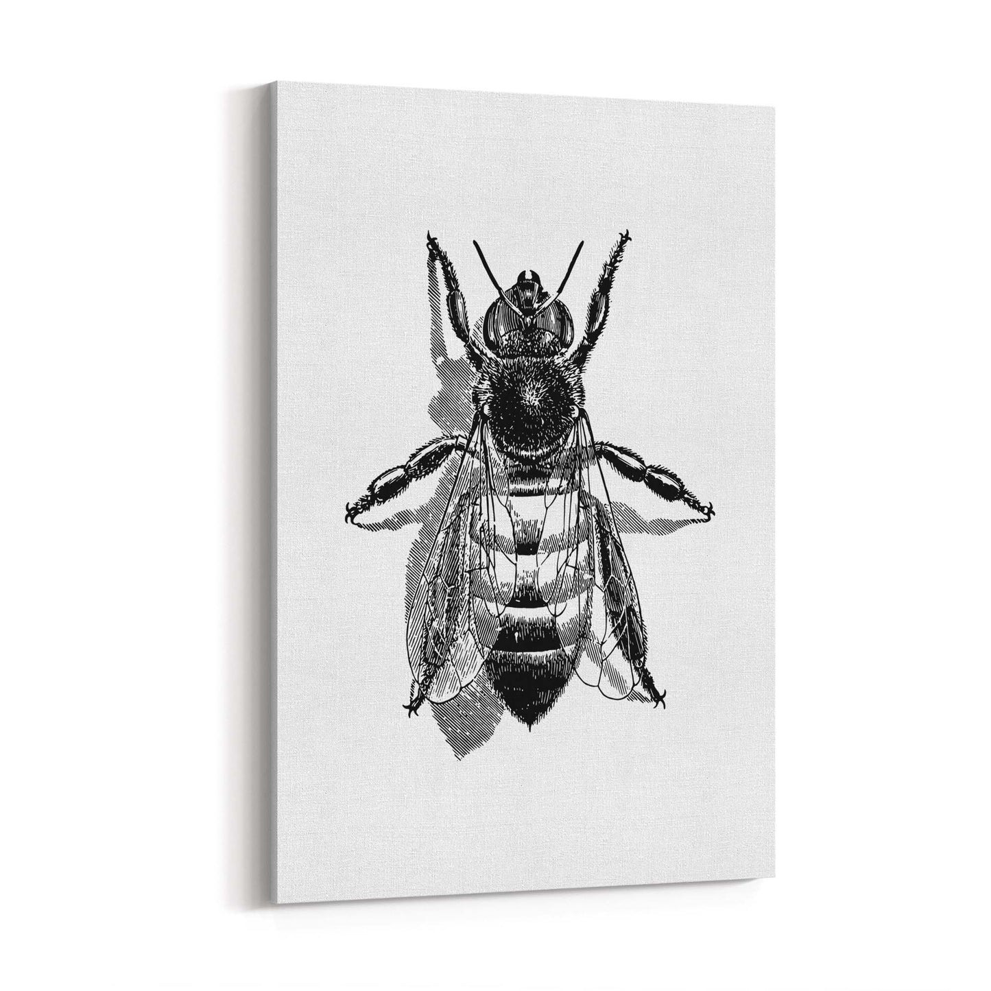 Worker Bee Drawing Insect Honey Wall Art - The Affordable Art Company