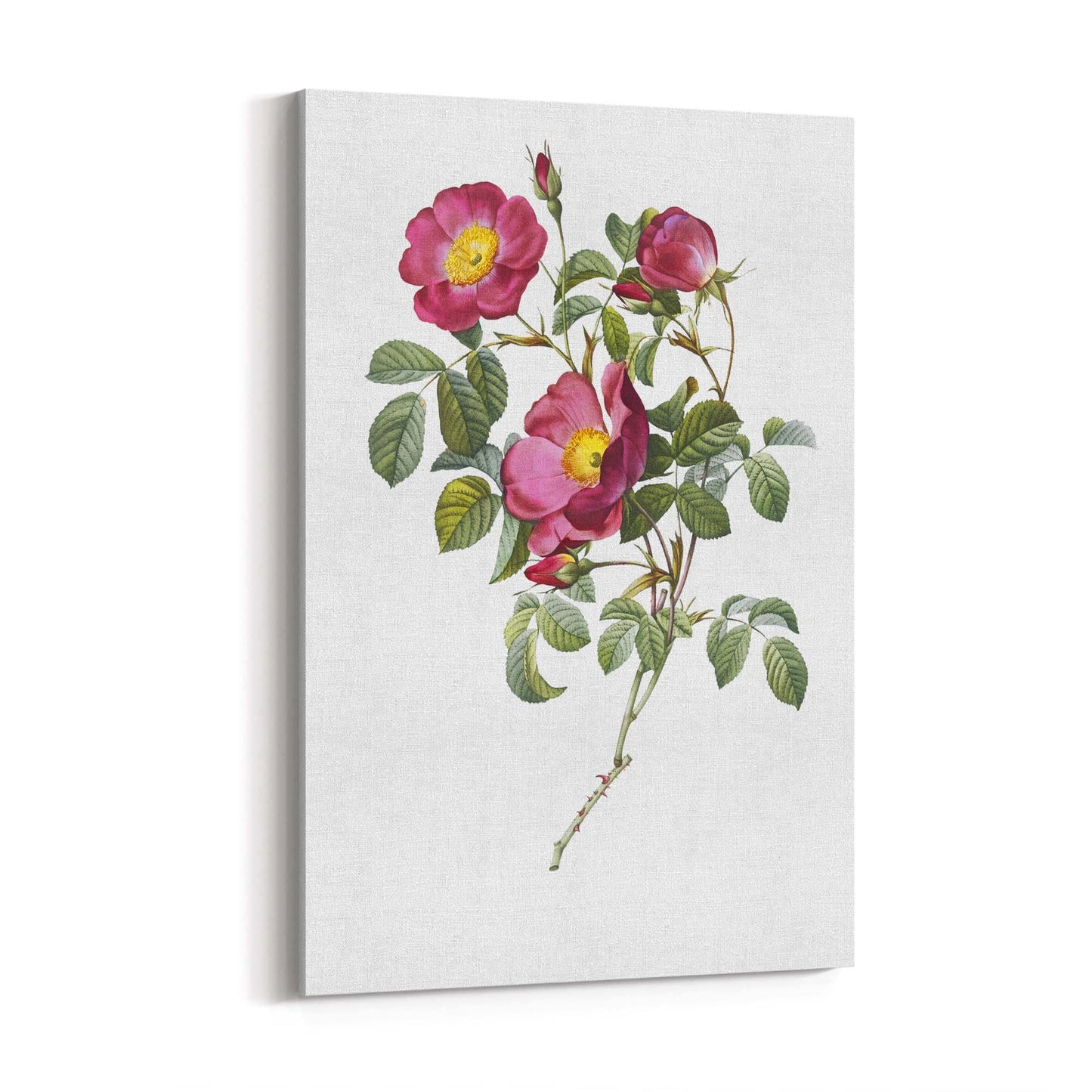 Flower Botanical Painting Kitchen Hallway Wall Art #41 - The Affordable Art Company