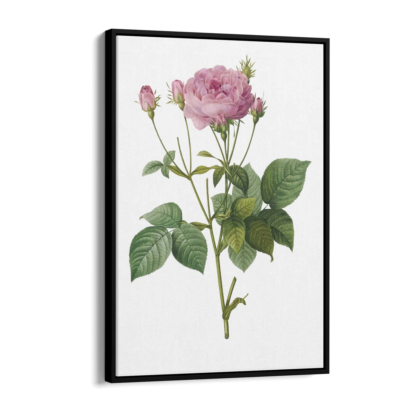 Flower Botanical Painting Kitchen Hallway Wall Art #18 - The Affordable Art Company