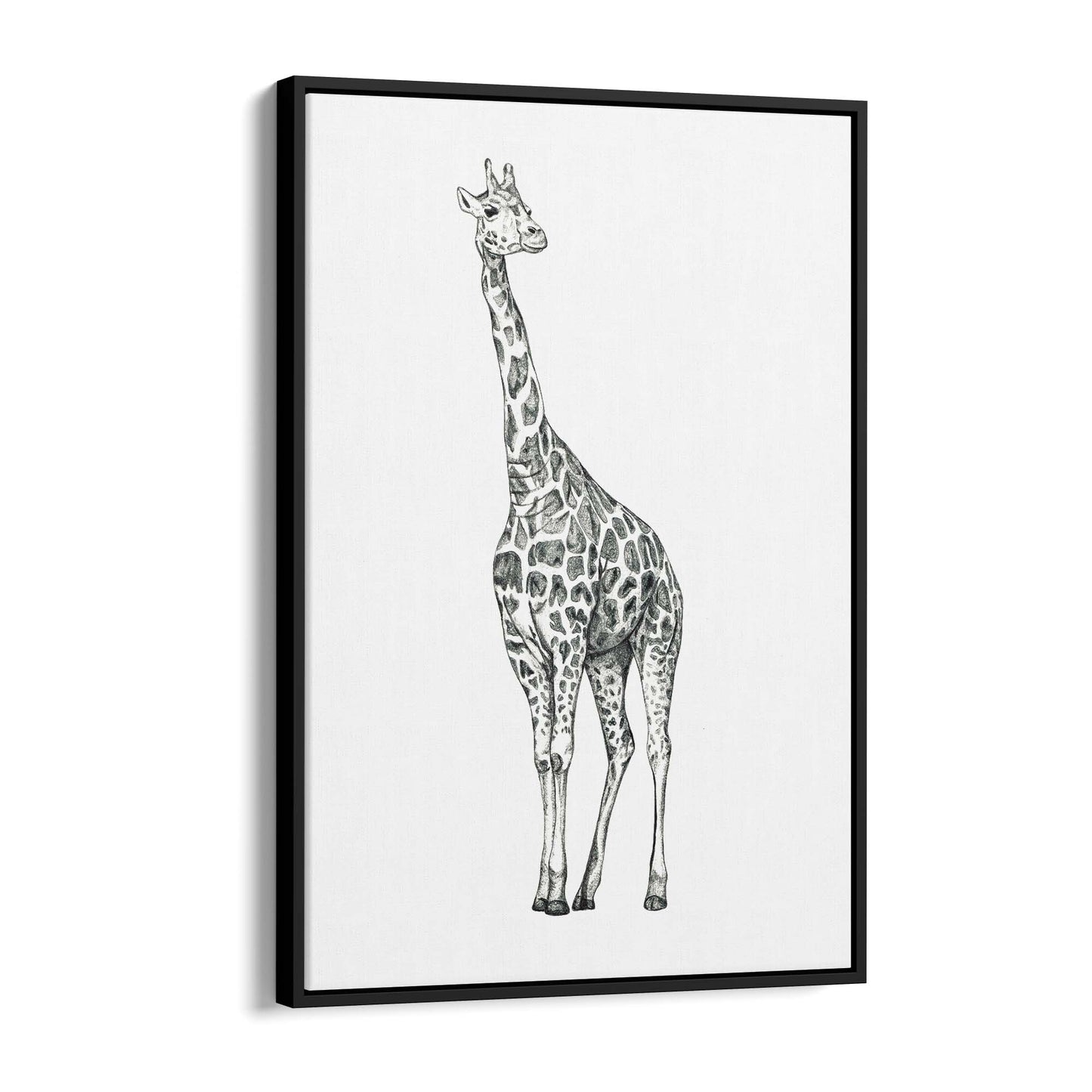 Detailed Giraffe Drawing Safari Animal Wall Art #1 - The Affordable Art Company