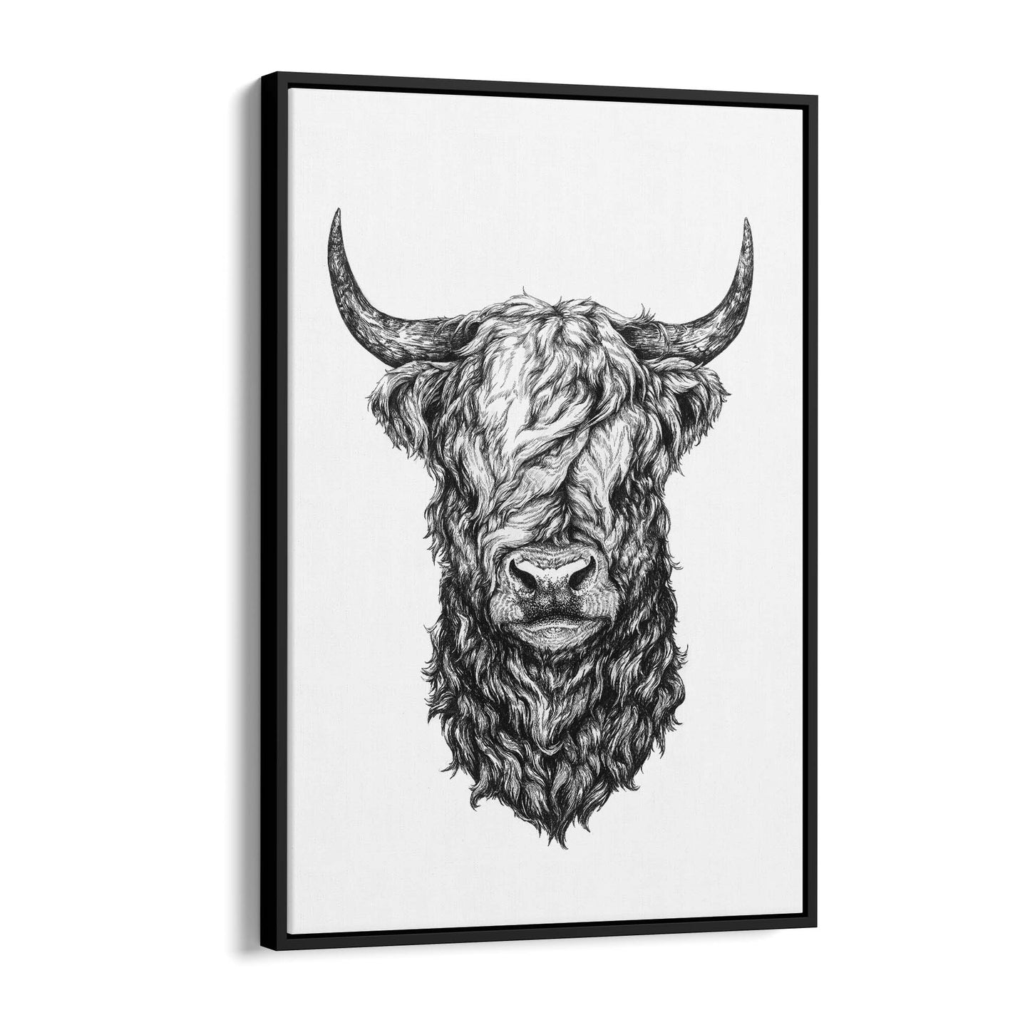 Highland Cow Detailed Head Drawing Wall Art - The Affordable Art Company