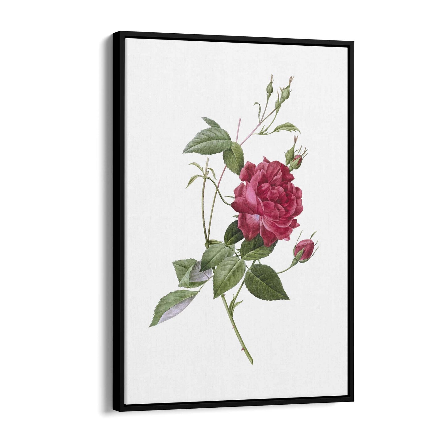 Flower Botanical Painting Kitchen Hallway Wall Art #31 - The Affordable Art Company