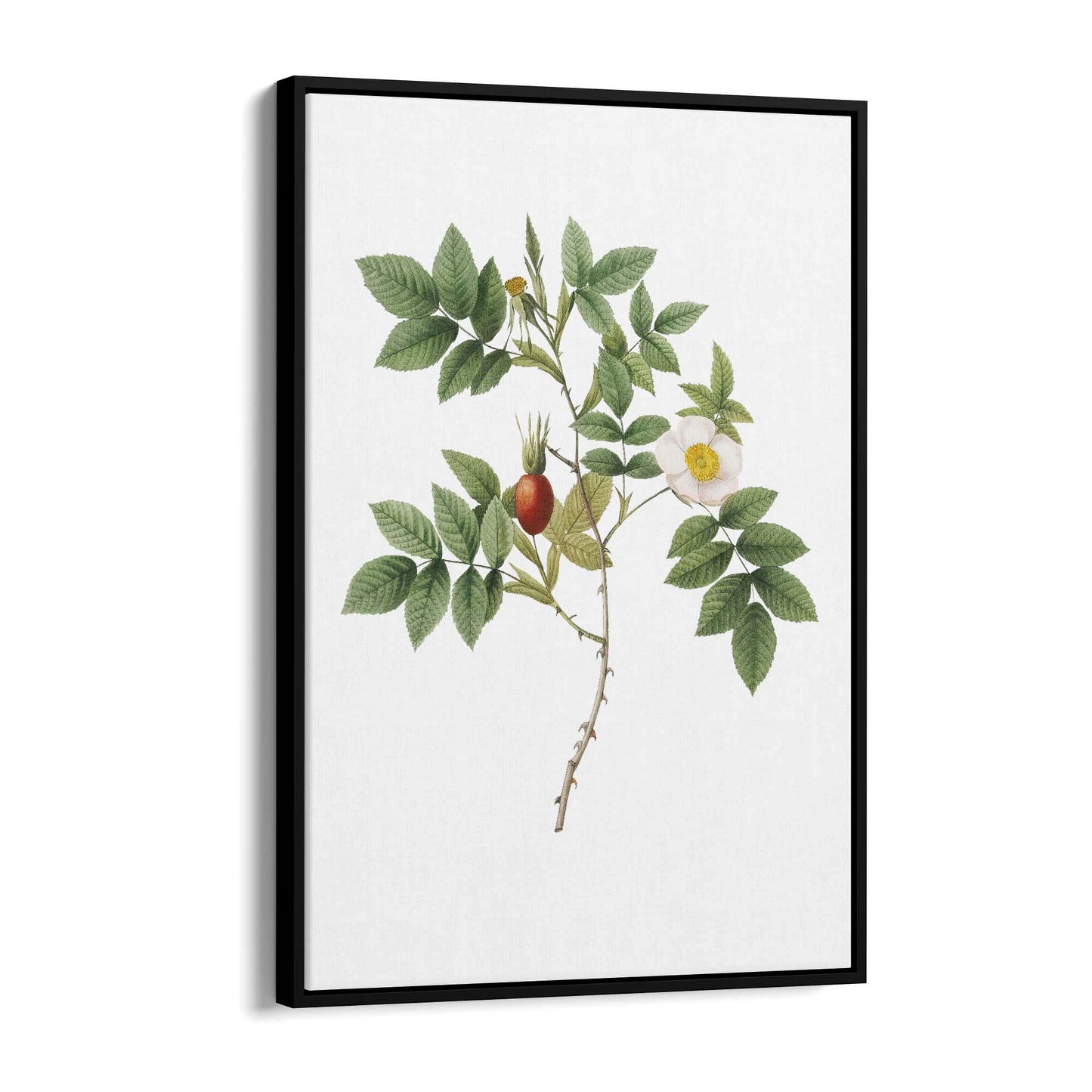 Flower Botanical Painting Kitchen Hallway Wall Art #46 - The Affordable Art Company