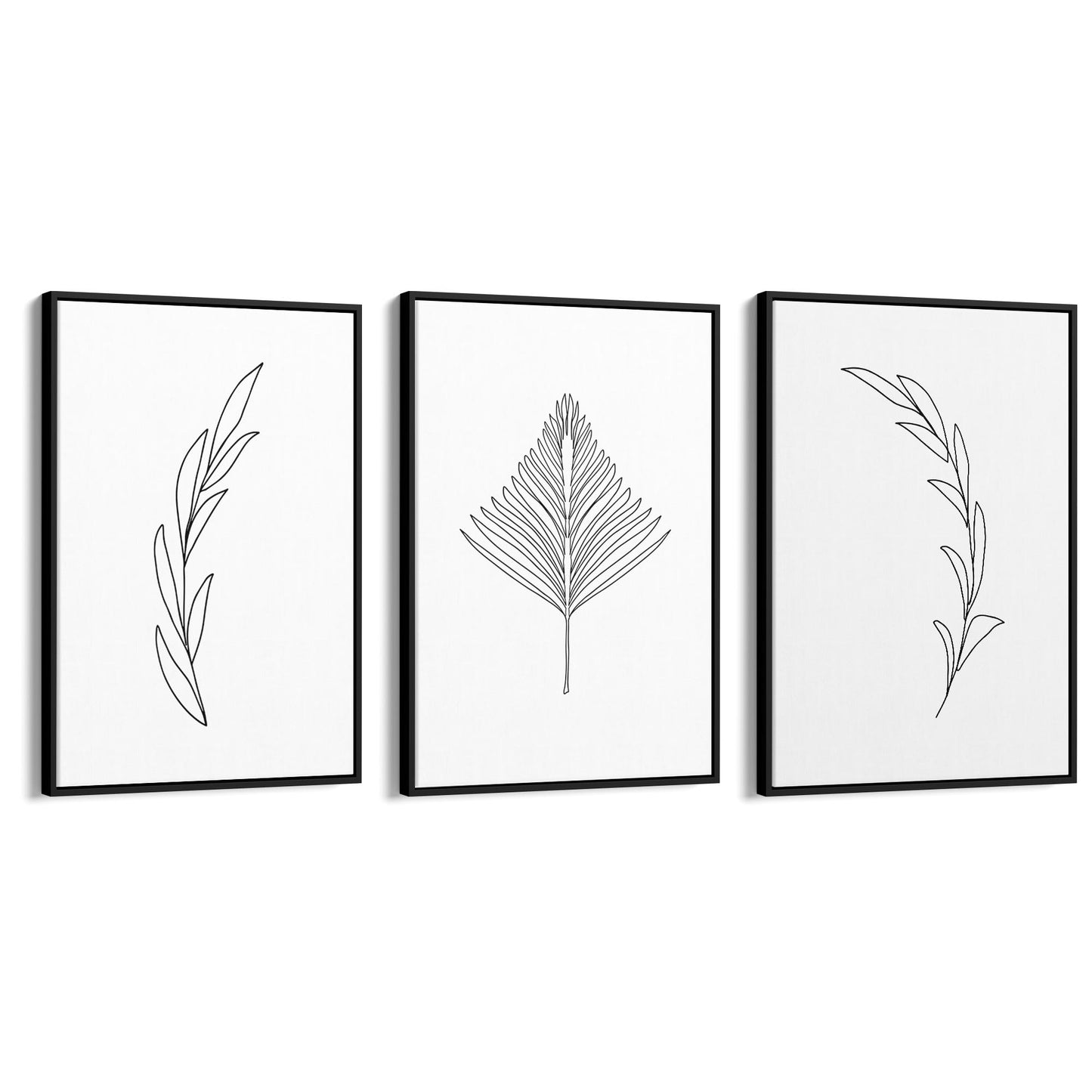 Set of Minimal Plant Line Drawings Wall Art #1 - The Affordable Art Company