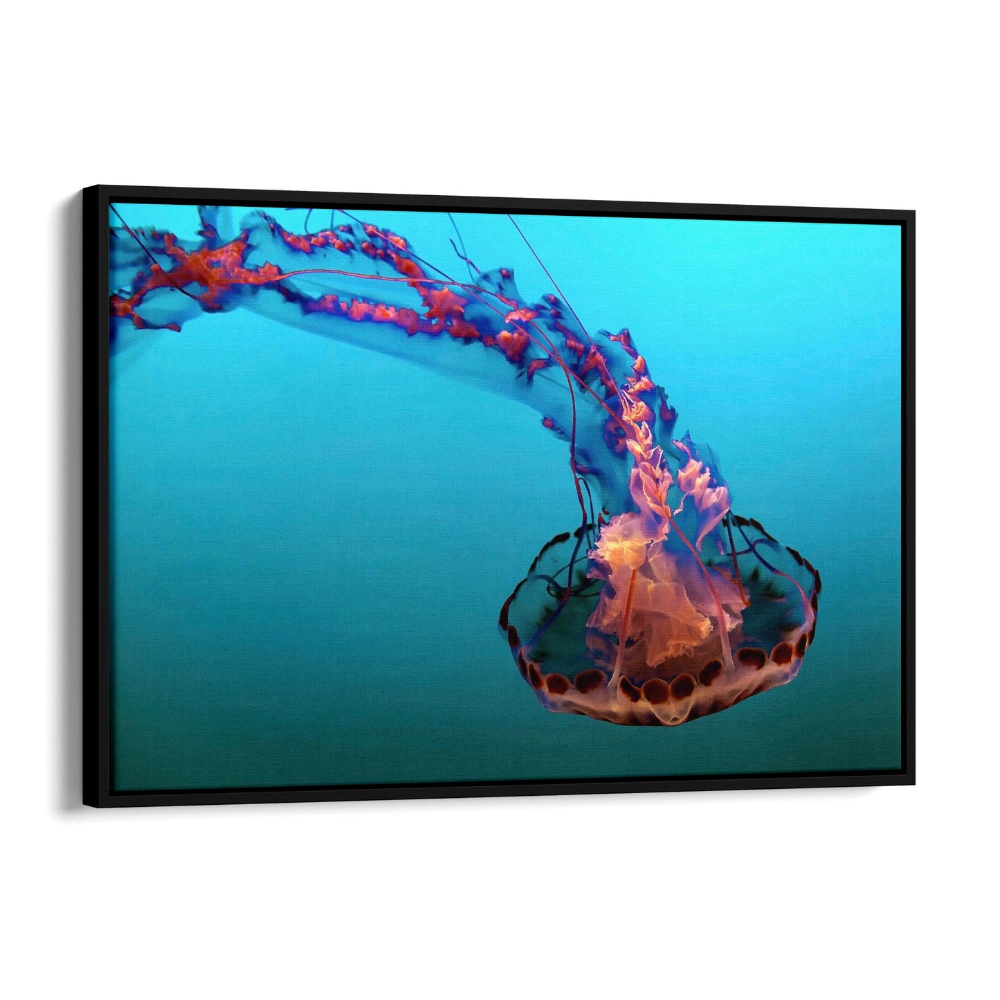 Electric Jellyfish Blue Photograph Neon Wall Art - The Affordable Art Company