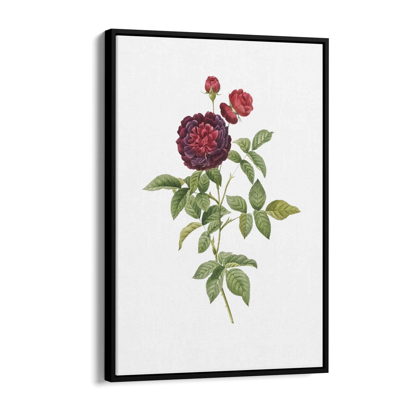 Flower Botanical Painting Kitchen Hallway Wall Art #30 - The Affordable Art Company